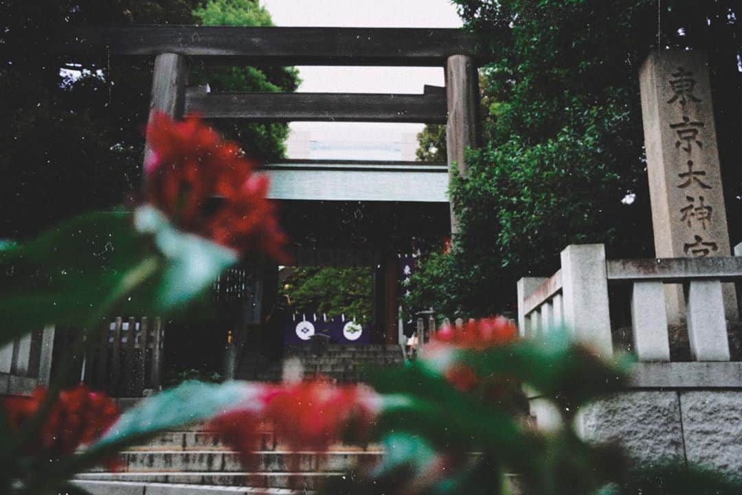 崎山つばさのインスタグラム：「#Photo山 #神社グラム」