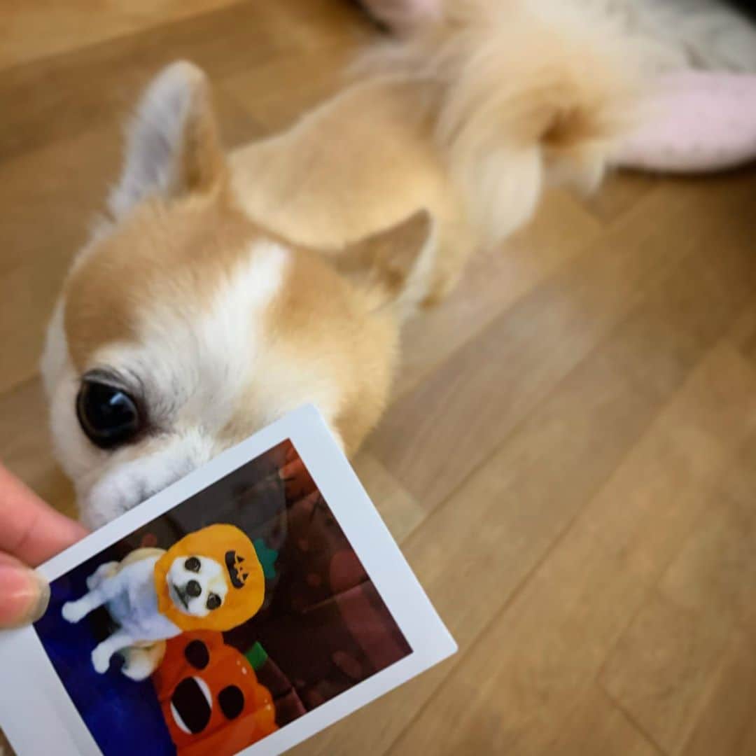 夢花らんのインスタグラム