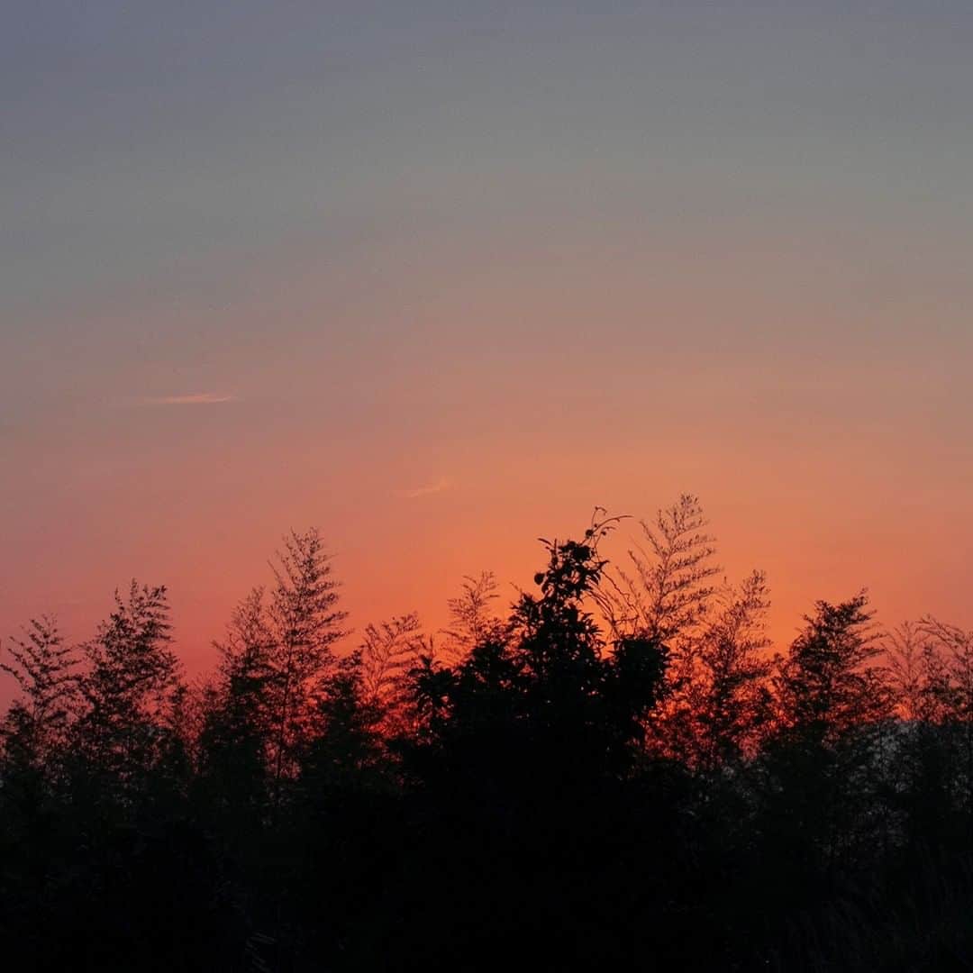 土屋鞄さんのインスタグラム写真 - (土屋鞄Instagram)「長い夜が明けて空がゆっくりと赤く染まり、静かな中にもエネルギーを秘めた暁をイメージした「ドーンレッド」。夜明けの特別な時間を想いながら、自分だけの時間を重ねたい限定色です。 #トーンオイルヌメ #土屋鞄 #土屋鞄製造所 #TsuchiyaKaban #DawnRed」10月14日 18時19分 - tsuchiya_kaban