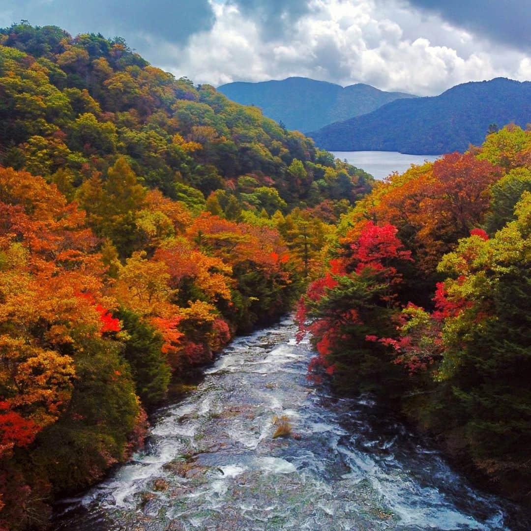 大森皓さんのインスタグラム写真 - (大森皓Instagram)「chuzenji lake」10月14日 18時27分 - akira.omori