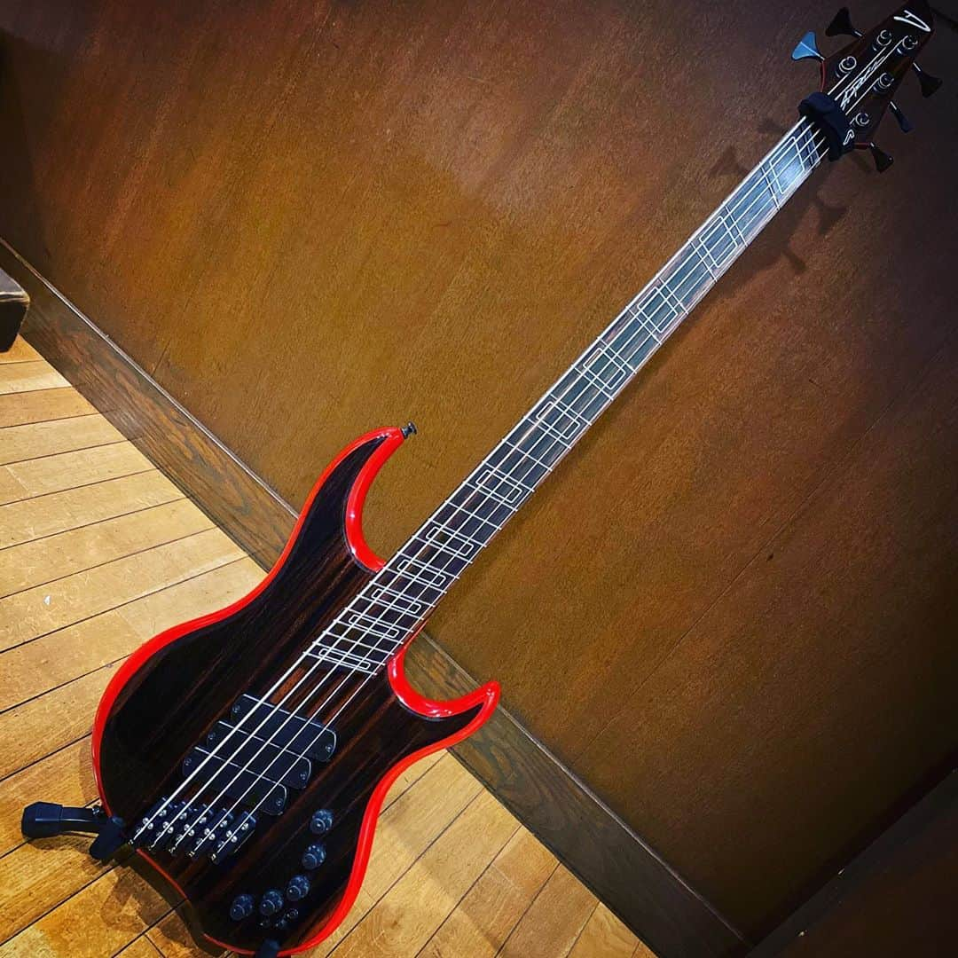 れいたさんのインスタグラム写真 - (れいたInstagram)「遂に買ってしまいました🎸 とても弾きやすいね。 今日は抱いて寝るよ。 #dingwall #Z3 #dingwallz3」10月14日 18時43分 - reita_the_gazette_