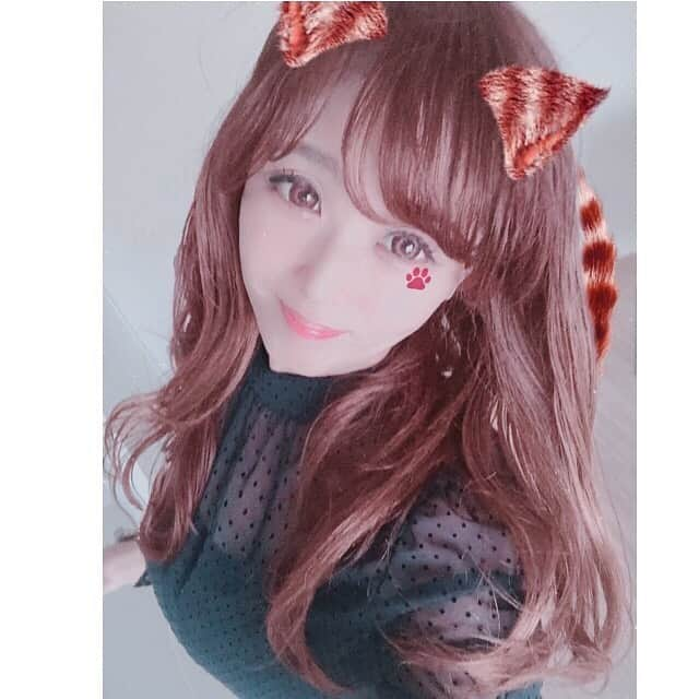 pe_momo.293さんのインスタグラム写真 - (pe_momo.293Instagram)「にゃは～😸♡♡. お疲れ様💕. . .  お昼は半袖でOKだけど夜はジャケットかカーデいるね🍃. 今季節　大好き🍁❤. . . 足指骨折が良くなってヒールも履けるようになってきて嬉しくてブーツを3足買いました. 👢👢👢✨. . . . CMしてる#バチェラー4  が気になっています♡. やっぱり面白い？？. ネトフリばかり見てるしでAmazonプライム解約しちゃったんだよね😢また入りなおそうかな？. はまらないなって思ってたら バチェラー1も2も3も　はまりすぎ😂💕💕面白かったなぁ🤫❤️. ちなみに3が1番面白かったです笑. . . .  コーデ♡♡. #ドットブラウス #ミッシュマッシュ　. @mischmasch_official.  . 2枚目pic, DWの10/1発売の #DWピンクメッシュ ⌚ ♡. 可愛い#DWリング も届いたばかり, #ダニエルウェリントン.@danielwellington . ストーリーハイライトに15％オフクーポン貼ってるよ♡. . .  今日も見に来てくれてありがとう🥺❤️❤️❤️.  . . . . . #DW新作#ローズゴールド#ユニセックス#腕時計コーデ #ラグジュアリー #大人可愛いコーデ #ガーリーコーデ #大人可愛い#女子会コーデ#デートコーデ#デニムコーデ #カシュクールコーデ #オトナ女子」10月14日 18時58分 - pe_momo.293