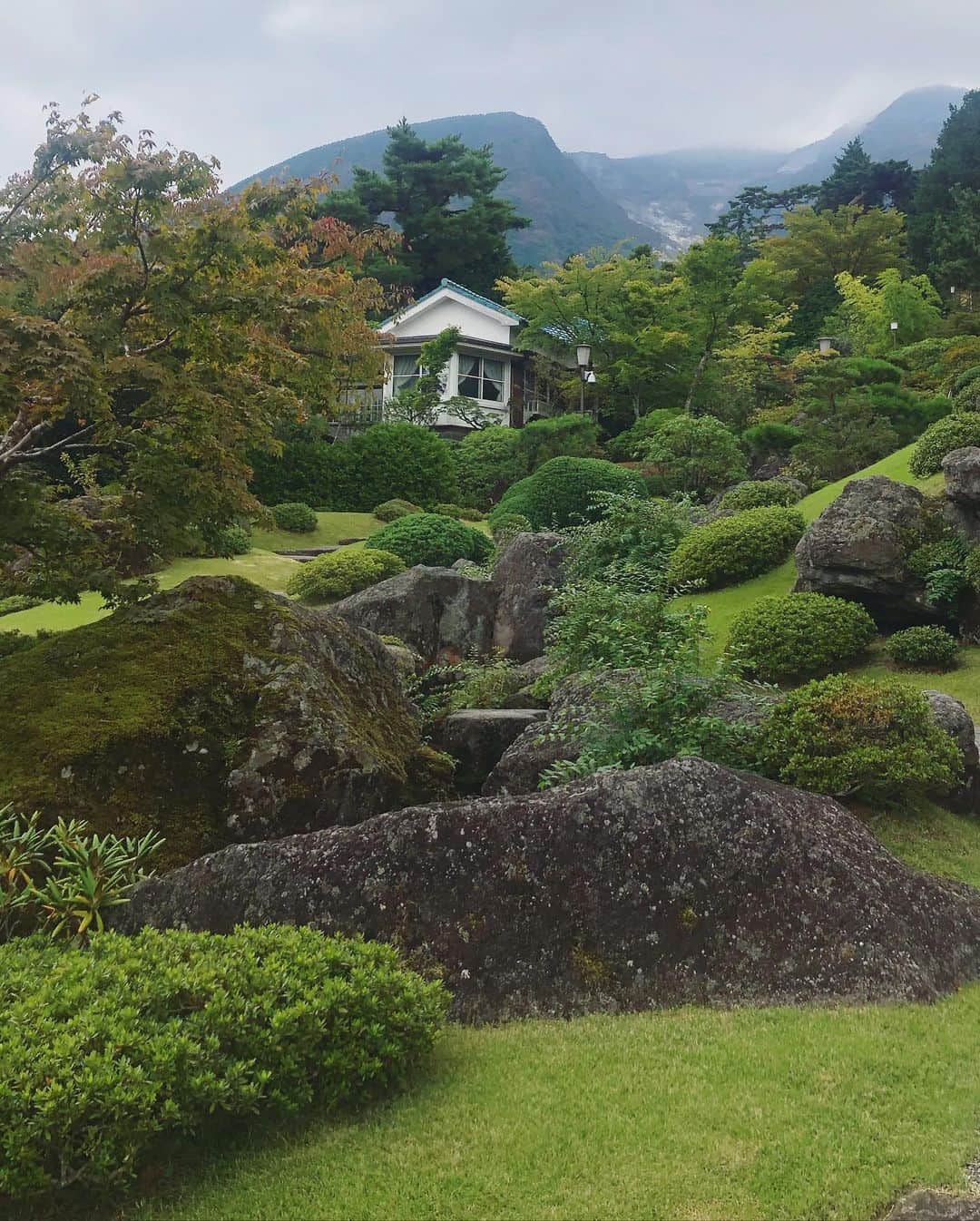 KoyamaRiko さんのインスタグラム写真 - (KoyamaRiko Instagram)「箱根美術館のお庭がどこを切り取っても素敵だった🌿🤍 #箱根美術館 #箱根」10月14日 19時23分 - riko0429