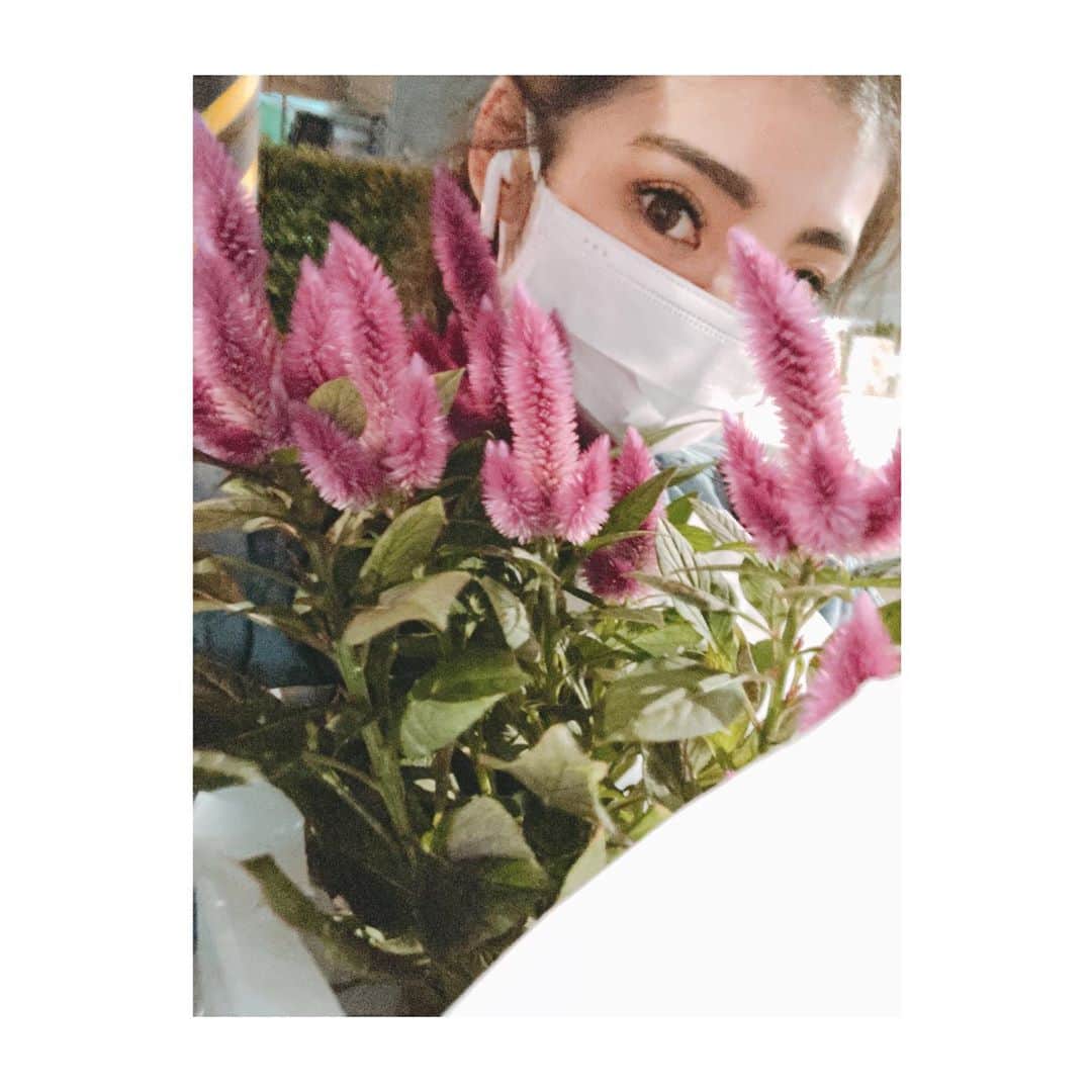 のインスタグラム：「Super happy to come back home with 🌿 after work☺️❤︎  お仕事のあとにお花屋さんよって 可愛い子ちゃんつれて 親友が待ってるおうちに帰るの幸せ。  #クラブフルハウス #ClubFullhouse  #NewBabe  #Selosia #FromNetherland  #🇳🇱 #🌿#🌷」