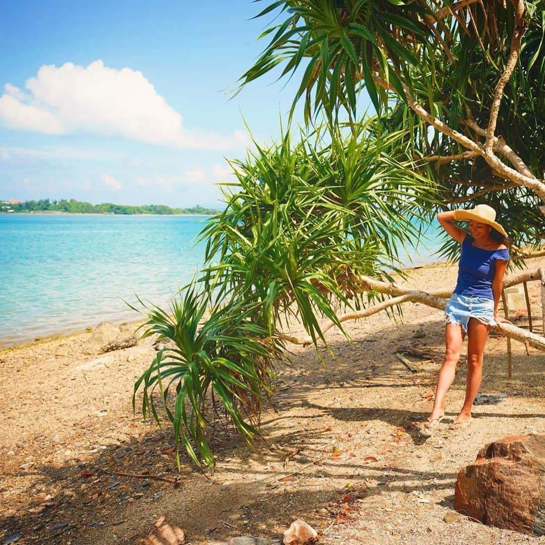 福田朋夏さんのインスタグラム写真 - (福田朋夏Instagram)「今日は暑い一日だった🌞天気がいいと、水の中が気持ちいいな。 真夏の生温い海水よりも、ちょっとヒヤッと気持ちいい今くらいの水温が好きかも🐠 #okinawa #islandlife」10月14日 20時30分 - tomoka_fukuda