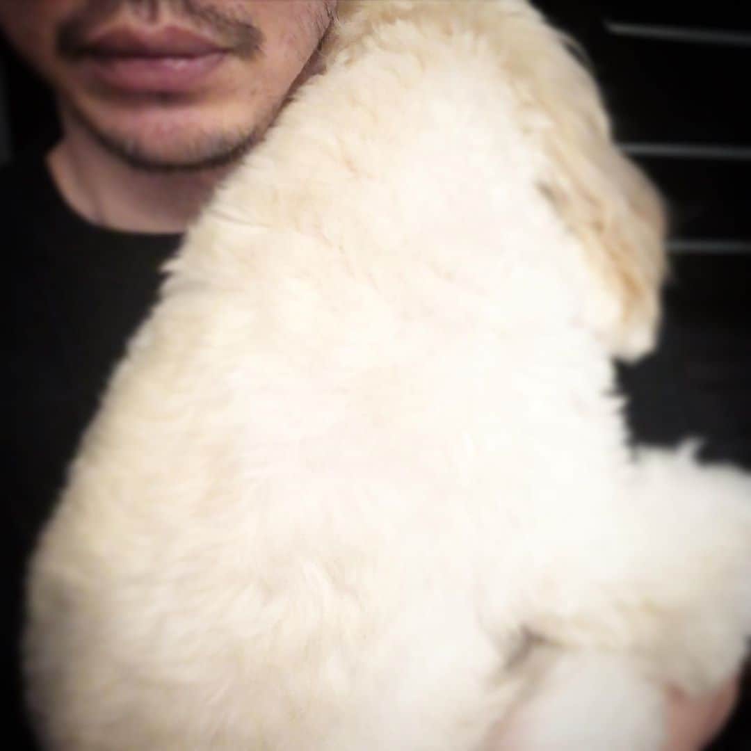 北山陽一のインスタグラム：「さっきからずっとこれ。#きたやまおもち」
