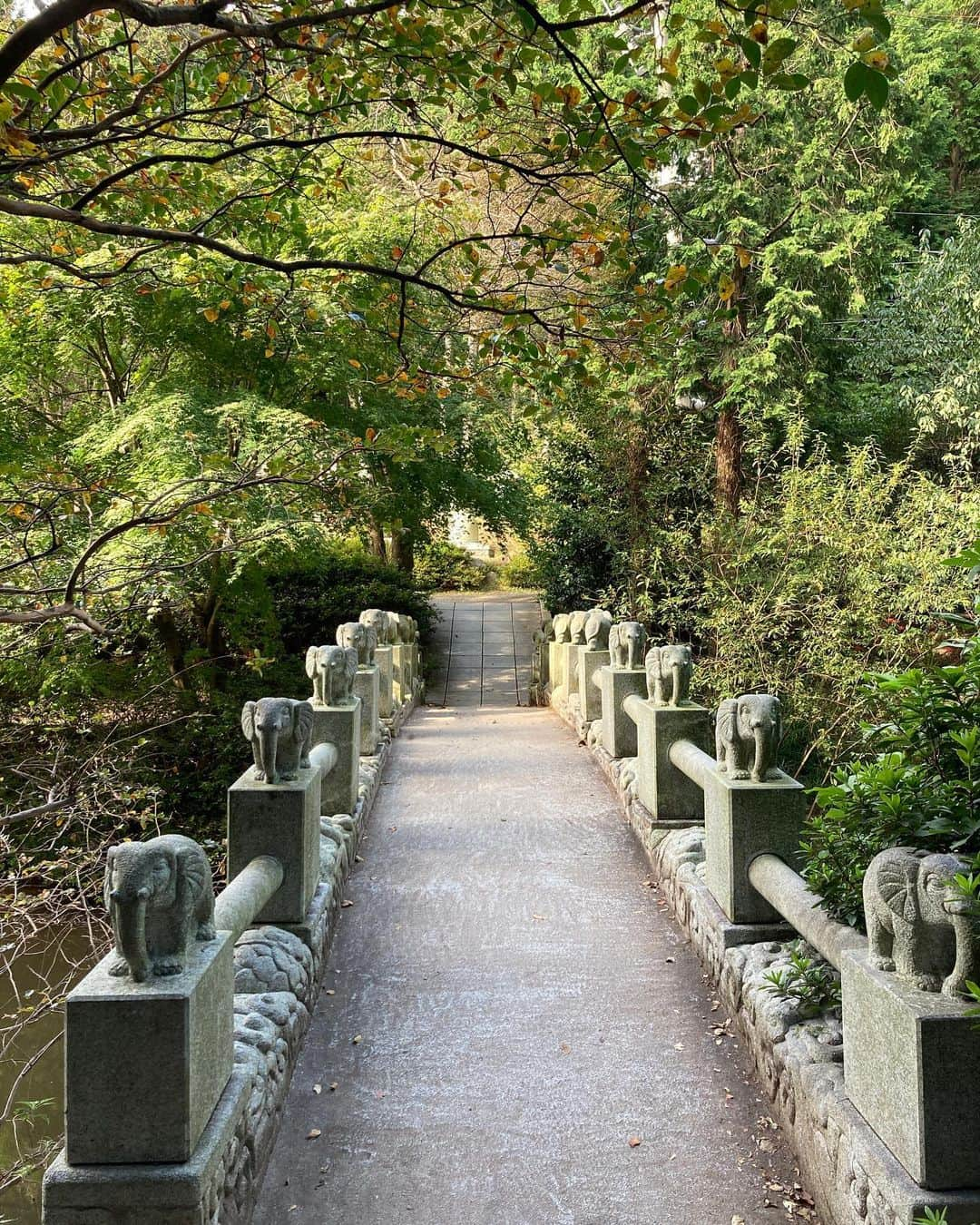 ソン・ファミンさんのインスタグラム写真 - (ソン・ファミンInstagram)「따뜻한 가을🍂」10月14日 20時48分 - hwa.min