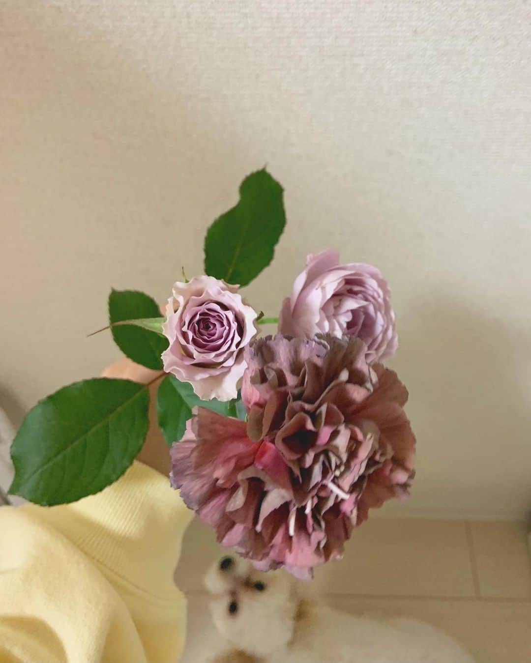 工藤遥さんのインスタグラム写真 - (工藤遥Instagram)「☺︎ 気分が良い日にお花を買うことを覚えました〜、 もうすぐ21歳です〜」10月14日 20時50分 - haruka_kudo.official