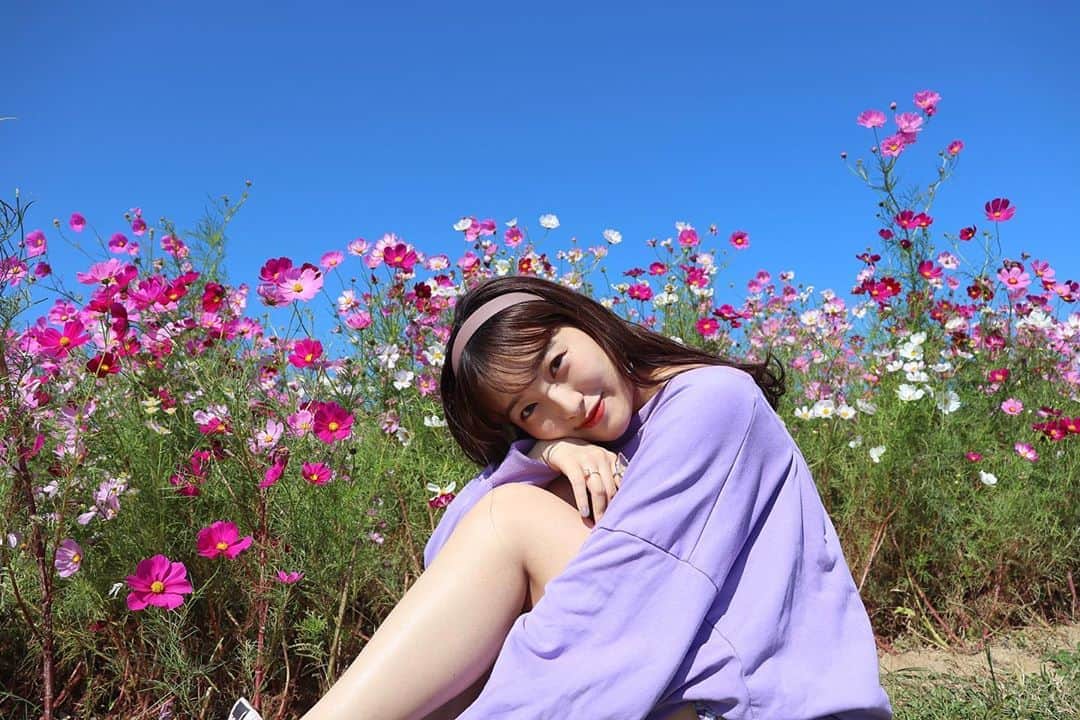 のインスタグラム：「秋桜🌸  海の中道海浜公園に行ってきました！ 季節毎に必ず訪れる場所です☺︎✨  秋の花コスモスとパシャリ📸 ままかめら最強です🥰  久しぶりに自然を感じて、とても明るい気持ちになれました☀️ 天気良くて気持ちよかった〜！  楽しそうな様子はリールをみてね❤︎  #海の中道海浜公園 #海の中道 #uminonakamichi #コスモス」