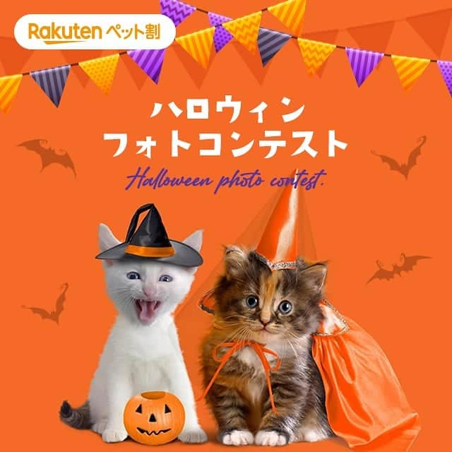 【公式】楽天ペット割のインスタグラム：「.⁣ 🐶ハロウィンフォトコンテスト🐱⁣ 11月2日(月)09:59まで♪かわいい衣装を身にまとったうちのこ自慢をして、 ステキな商品をゲットしませんか。 ＼プレゼント／⁣ 🎁　猫柄　温泉用バッグ 🎁　名入れキーホルダー　プードル柄 ⁣ 楽天ペット割では、ペットのハロウィン写真・動画を募集しています！⁣ かわいく仮装したペット、ハロウィンにちなんだ写真や動画など、⁣ 皆さんのご応募をお待ちしています✨⁣ ⁣ ⁣ 【参加方法】⁣ ① @rakuten_petwari をフォロー⁣ ② #rハロウィン のハッシュタグをつけてペットのハロウィンコスプレ写真をInstagramに投稿していること。⁣ ⁣ 【期間】⁣ 2020年9月1日(火)10:00～ 2020年11月2日(月)09:59⁣ .⁣ 【当選者数と賞品】⁣ 💠猫優秀賞　3名様　猫柄　温泉用バッグhttps://item.rakuten.co.jp/osyarehime/56558902/  💠犬優秀賞　3名様　 名入れキーホルダー　プードル柄 https://item.rakuten.co.jp/nico-web/sl1400/  ※入賞された方には、発表時のダイレクトメッセージにて、確認させていただきます。⁣ ⁣ .⁣ 【入賞者発表】⁣ 発表11月9日(月)頃を予定しております。⁣ ・入賞された方には、ご応募いただいたInstagramアカウントに@rakuten_petwari より、2020年11月中旬頃、ダイレクトメッセージでご連絡いたします。⁣ ※当選に関わるお問い合わせには、一切お答えいたしかねますので、ご了承ください。⁣ ⁣ ＜ご注意＞⁣ ＊フォロワー様、かつ国内にお住まいの方限定です。⁣ ＊すでにフォローされている方も参加可能です。⁣ ＊入賞者に選ばれた場合楽天会員アカウントが必要となります。会員でない方は楽天会員登録をお願いします。⁣ ＊ #rハロウィン のハッシュタグと共に投稿された画像は、当社が運営するキャンペーンページにも自動的に掲載されます。⁣ ＊応募作品の撮影時期は問いません。投稿は一人何回でも可能です。⁣ ＊投稿内容について当社は、当社の広報宣伝・プロモーションの目的で、当社Webページのほか、インターネット（SNSを含む）、テレビCM、新聞、雑誌、カタログ・チラシ等の各種印刷物、イベント展示等、各種媒体において無償で利用できるものとします。またその際当社は投稿内容を自由に複製および加工・編集（トリミングや、他の素材と組み合わせて使用することを含む）できるものとします。⁣ ＊当社は、本キャンペーンへの応募により応募者および第三者に生じたトラブルや損害（直接・間接を問いません）等について一切の責任を負いかねます。⁣ ＊ #rハロウィン のハッシュタグをつけた投稿についてはすべて、これらの注意事項に同意されたものとみなします。⁣ ＊アカウント非公開・ハッシュタグがついていない投稿は、応募対象外となります。⁣ ＊やむを得ない事情により、賞品は予告なく変更となることがあります。⁣ ＊通信の際の接続トラブルにつきましては責任を負いかねますので、予めご了承ください。⁣ ＊インスタグラムの仕様/運用に伴い、本サービスの一部またはすべてを事前に通知することなく変更・中断あるいは中止または終了する場合がございます。⁣ ＊キャンペーンへの接続にかかる費用につきましては利用者ご自身の負担となります。⁣ ＊当社は事前に通知することなく、このサイトの内容および本キャンペーン概要、利用規約を変更することがございますので、予めご了承ください。⁣ プライバシーポリシーについては、https://privacy.rakuten.co.jp/ をご確認ください。⁣ たくさんのご応募お待ちしております！⁣ ⁣ #楽天ペット割 #rakutenpet #rハロウィン #プレゼント企画 #フォトコンテスト #犬スタグラム #犬好きさんと繋がりたい #犬 #dog #instadog #dogstagram #doglover #ふわもこ部 #ふわもこ部ワンコ #ねこ #ネコ #cat #猫 #catstagram #neko #ねこ部 #にゃんすたぐらむ」