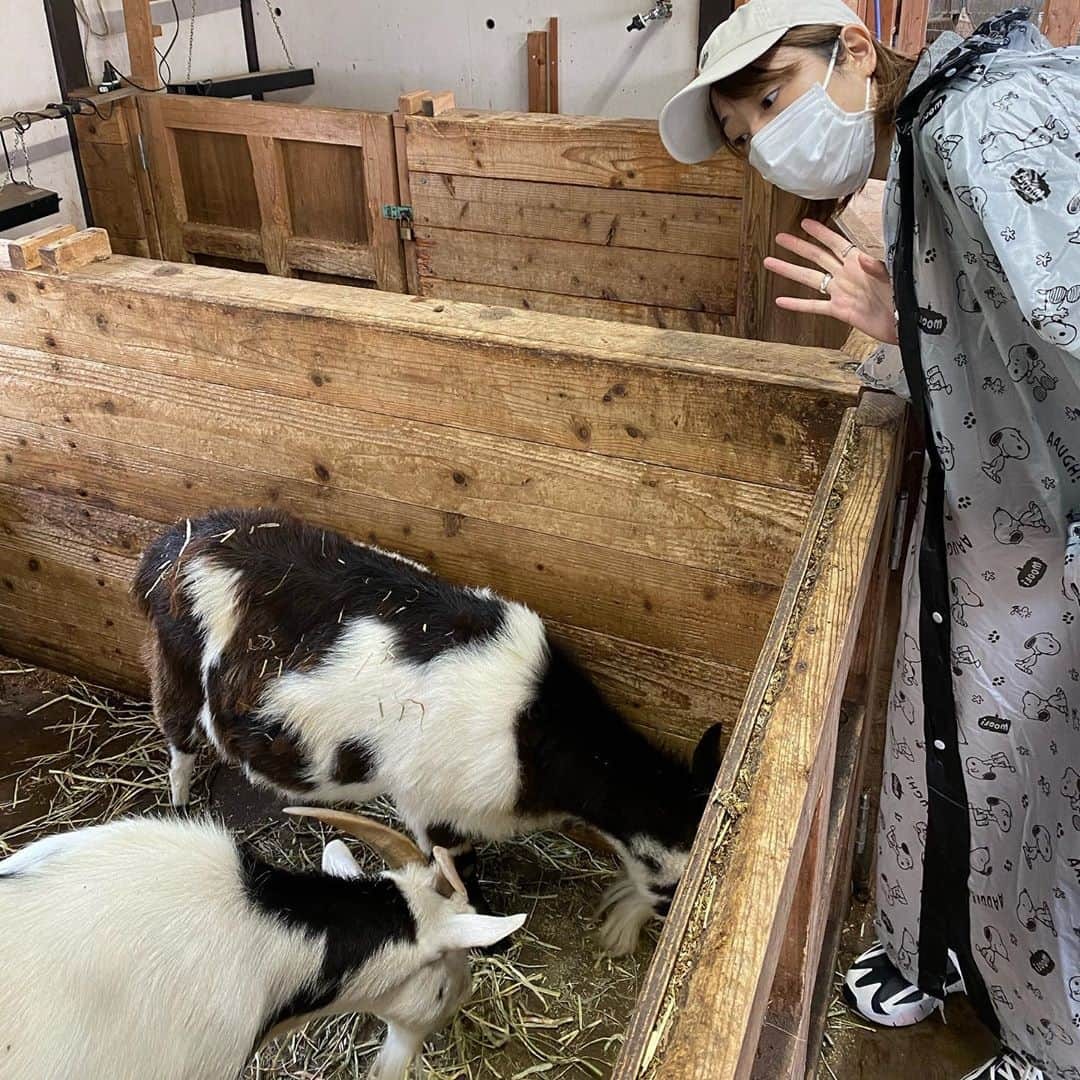 沙田瑞紀さんのインスタグラム写真 - (沙田瑞紀Instagram)「実家に帰った時に マザー牧場にも行ったよ！ 千葉たのすぃ〜〜🌈 雨だったけど動物にもたくさん触れ合え、 アイスクリームも食べれてハッピー 🌼🍦🍦  #また行きたいな #マザー牧場　#千葉」10月14日 21時21分 - mizuki_masuda