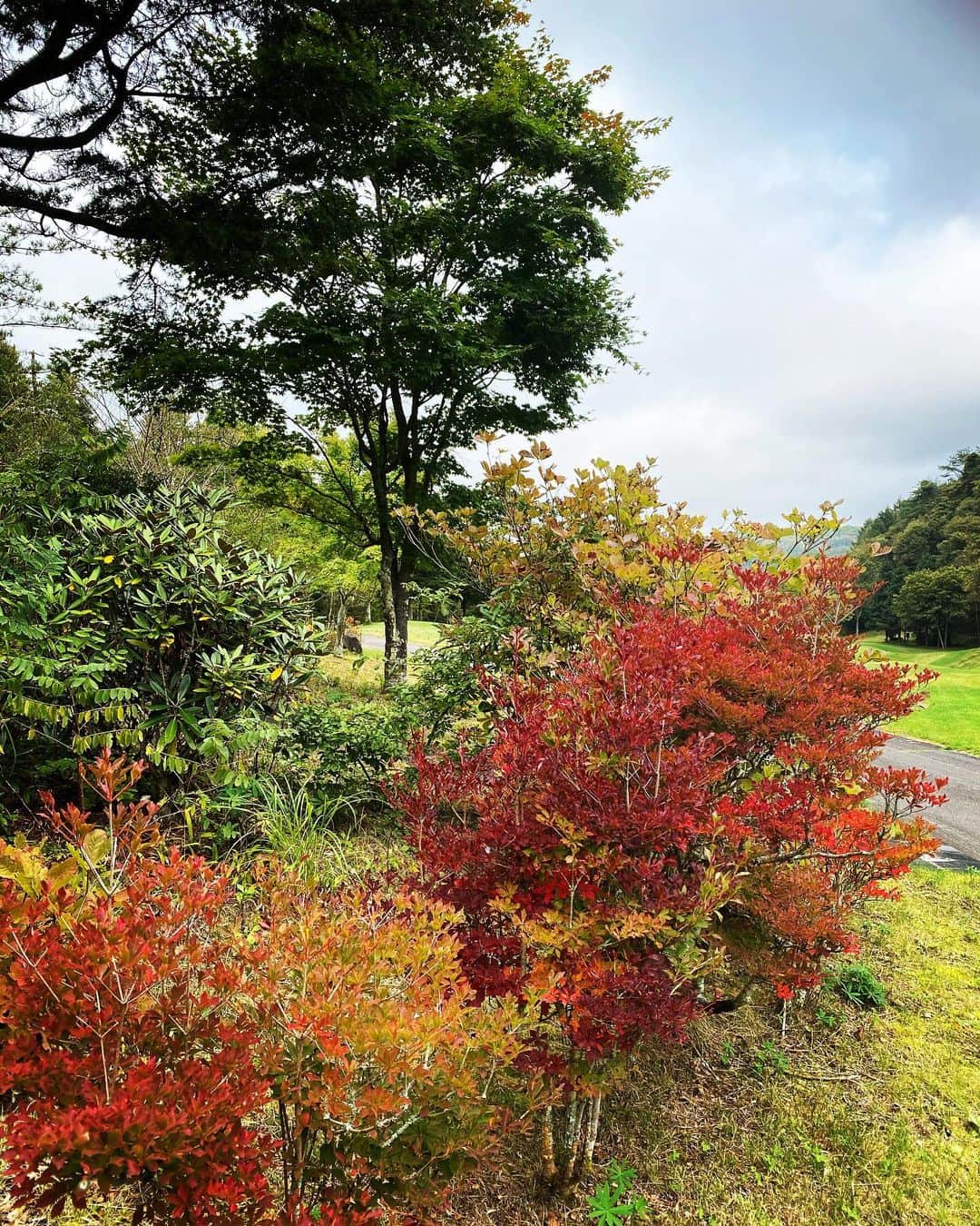 小塚崇彦のインスタグラム：「特になんもないけど、紅葉が綺麗だったので🍁 #ゴルフ場 #秋 #紅葉 #久しぶりの更新」