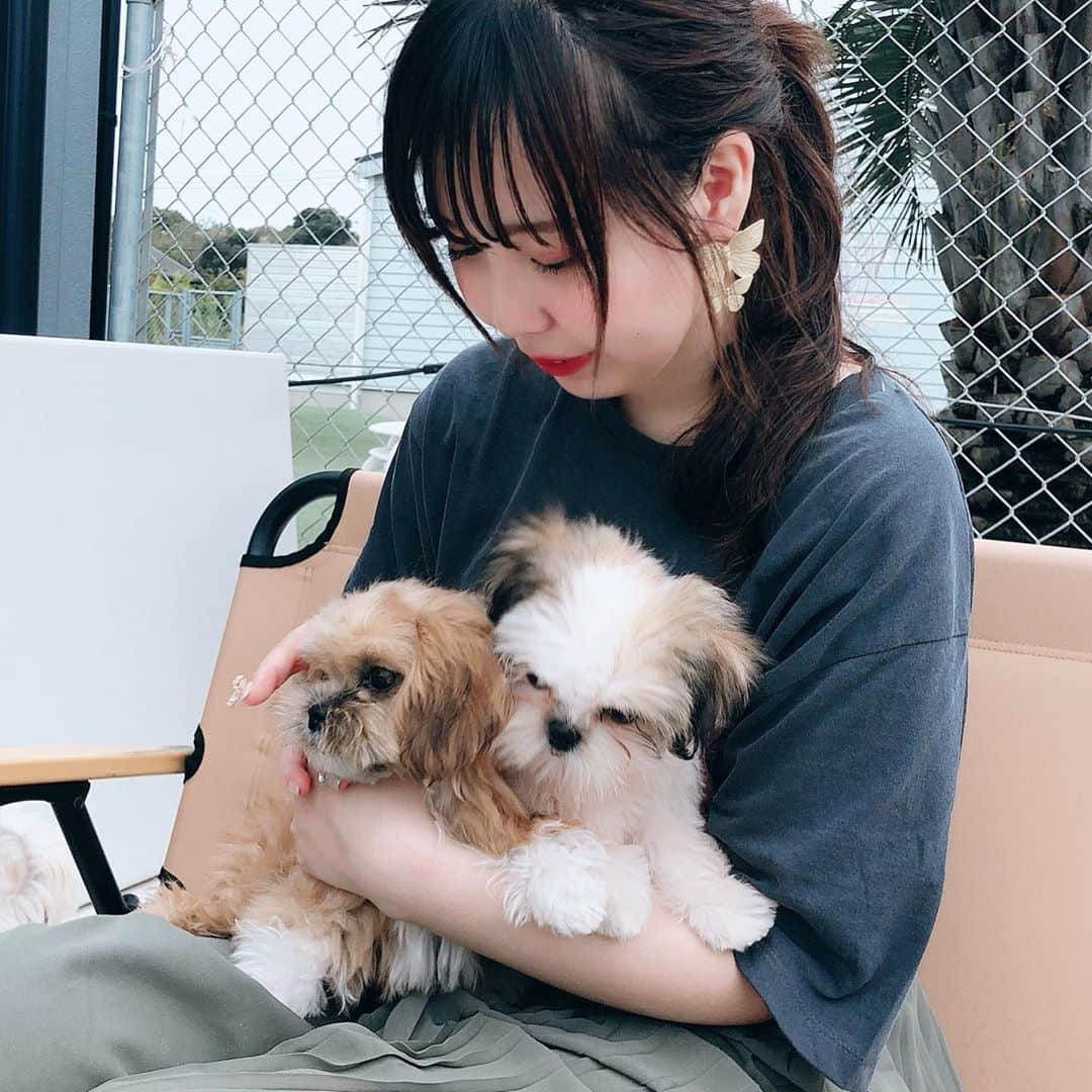 古畑星夏さんのインスタグラム写真 - (古畑星夏Instagram)「⠀ ゆりいちのお2人🧑🏼👩🏻‍🦰としーじゅう🐶と5人で @petsalon_pinkbeach に遊びに行ってきたよ♪  その様子はゆりいちチャンネルで是非チェックしてね❤️  プロフィールとストーリーからURL飛べるよ🐶  めっちゃ楽しくて癒されて沢山笑った1日でした❤️  2人ありがとう🥰  #ゆりいち#YouTube#保護犬#里親#pinkbeach#ピンクビーチ」10月14日 21時50分 - starandsummer