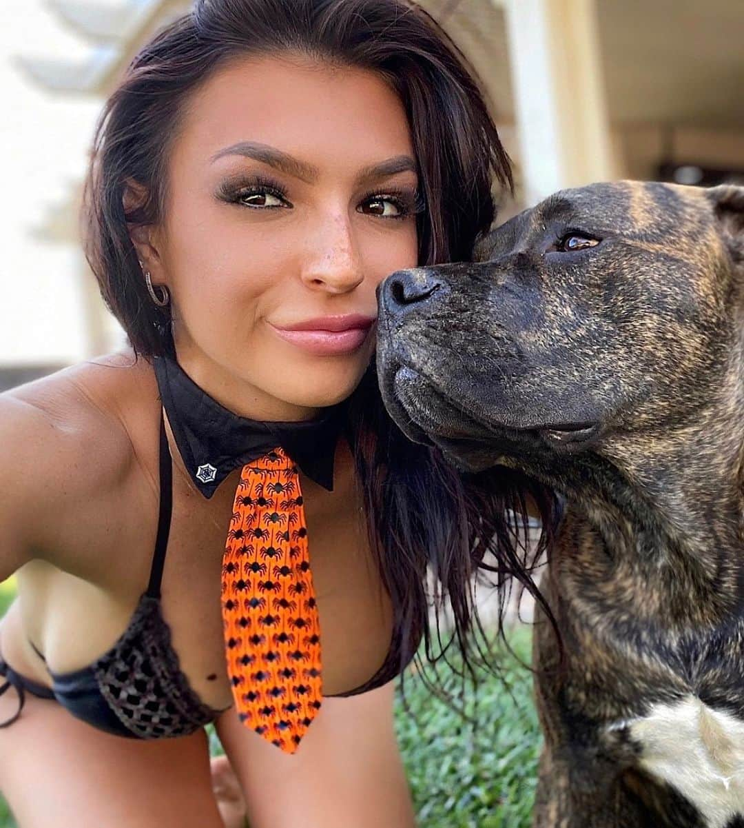 Kelly Clelandさんのインスタグラム写真 - (Kelly ClelandInstagram)「Time for the spider tie: October vibes! 🍂 #goodmorning #october #2020 #thattimeofyear #spidertie #halloween #costumes #planning #partnerincrime #focused #puppylove #brindle #happy #bestfriends #enjoyyourday #enjoylife #haveagoodone」10月14日 21時56分 - kellyacleland4