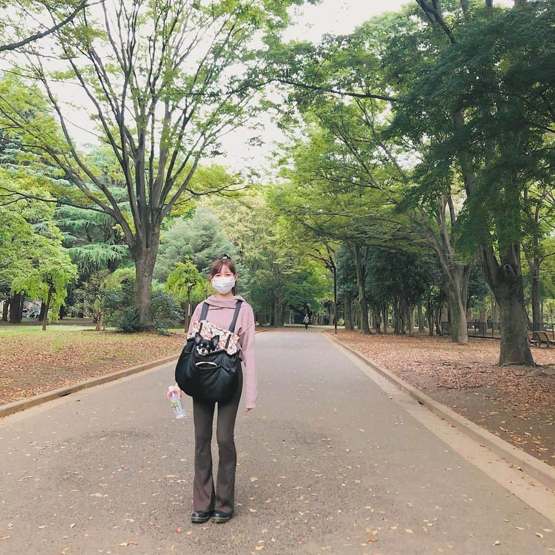 渡辺美優紀さんのインスタグラム写真 - (渡辺美優紀Instagram)「🌳こうえん🌳」10月14日 21時58分 - miyukichan919