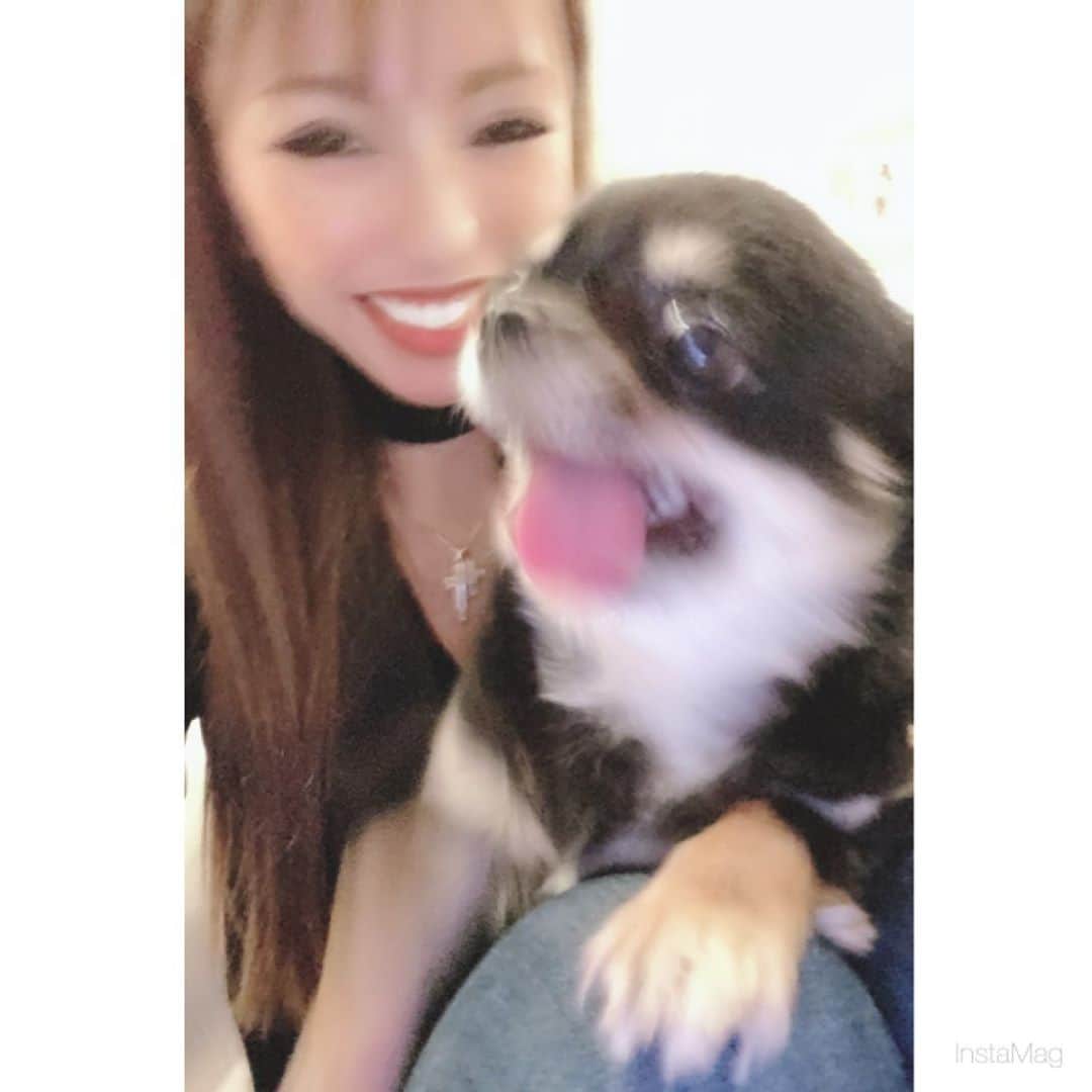 のインスタグラム：「ぽぽちゃん💕 久々に会って帰るねって言ったら 一緒に行きたがってて また来るねのくだり何回もしてたら いきなりふてくされてて 顔近づけてもやめろみたいな 目で見られてて最後の最後まで きれてたwww そんなぽぽもかわいくて愛おしい、、、、 はぁ可愛すぎてむり  .  #千葉キャバクラ#千葉富士見キャバ嬢#千葉富士見町キャバ嬢#千葉富士見キャバクラ#arドレス#ジュエルズドレス#コロナに負けるな#コロナに負けるな日本#オンラインキャバクラ#ファッション好きな人と繋がりたい#ヘアメイク#お家スタイル#息してる？#followｍe4 #follow4like#followtrain」