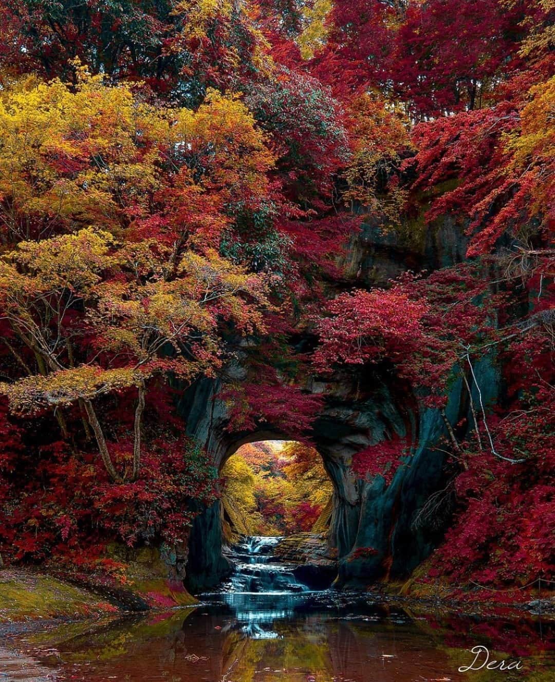 Earth Picsさんのインスタグラム写真 - (Earth PicsInstagram)「Hidden gem located in Kimitsu, Japan 🌲 📷 @dera_e_mon」10月14日 22時00分 - earthpix