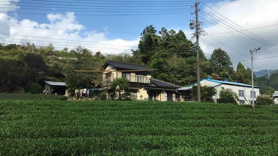 小谷あゆみさんのインスタグラム写真 - (小谷あゆみInstagram)「静岡県川根本町 #久野脇 #くのわき #ふじのくに美しく品格のある邑 農村評価委員現地調査2回目〜 川根本町@久野脇 日本には美しい邑がある 茶を生産するために美しくなった #大井川鐵道  この地域資源をどう存続させるか 人を呼び込みお金を落としてもらう仕組みをつくるか 川湯温泉も近くキャンパーはいても地域経済活動に結びつかないそう ううむむむでもこの景観実際に目の当たりにしたらふつうにすごくないですかあ。#静岡のブルゴーニュ　とな付けた 過去に　#静岡のマチュピチュ　は既にわたし達調査団が入って命名したからね 秘境×農業農村　こんなおもしろいコンテンツないのにね 明日も早い おやすみ」10月14日 22時01分 - vegeanaayu