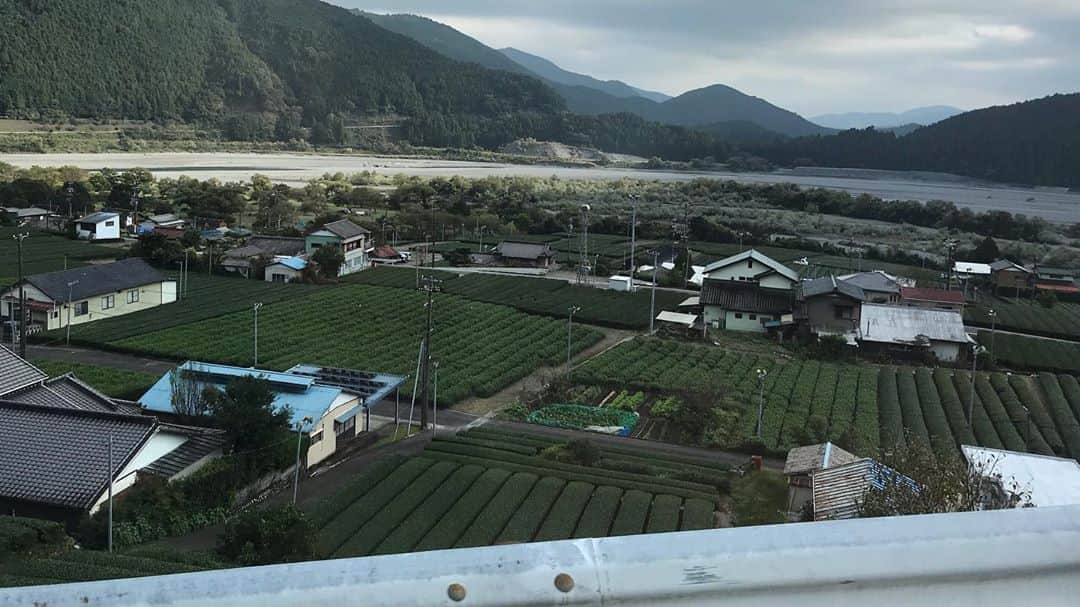 小谷あゆみさんのインスタグラム写真 - (小谷あゆみInstagram)「静岡県川根本町 #久野脇 #くのわき #ふじのくに美しく品格のある邑 農村評価委員現地調査2回目〜 川根本町@久野脇 日本には美しい邑がある 茶を生産するために美しくなった #大井川鐵道  この地域資源をどう存続させるか 人を呼び込みお金を落としてもらう仕組みをつくるか 川湯温泉も近くキャンパーはいても地域経済活動に結びつかないそう ううむむむでもこの景観実際に目の当たりにしたらふつうにすごくないですかあ。#静岡のブルゴーニュ　とな付けた 過去に　#静岡のマチュピチュ　は既にわたし達調査団が入って命名したからね 秘境×農業農村　こんなおもしろいコンテンツないのにね 明日も早い おやすみ」10月14日 22時01分 - vegeanaayu