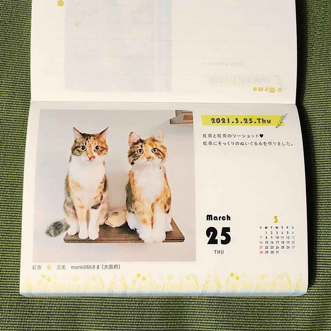 marikill66さんのインスタグラム写真 - (marikill66Instagram)「✼  @felissimonekobu さんの 『まいにちにゃんこ2021』に 紅茶と紅茶のツーショットを載せていただきました😸😸 3月25日です🐾 ありがとうございます❤️❤️ * * #まいにちにゃんこ #まいにちにゃんこ2021  #フェリシモ猫部 * #ペコハグ #ザビエラー #シマホレスキュー #シマホネコダスケ #猫カレンダー2022参加したい #WPE2020秋フォトグランプリ * #catsofinstagram #instacat_meows #IGersJP #rakutenpet #nyancon01 #petokotolife #無敵の親バカ同盟 #関西ねこ部 #ふわもこ部 #ペコねこ部 #peppyフォト部 #ねこのきもち #サンデイ #ペトラフ #我が家のキャティーマン * #fukukocha #marikill66_1014 #fukukohakuchafashion #fukukohakushinchacongrats ##fukukohakushinchacalendar」10月14日 22時02分 - marikill66