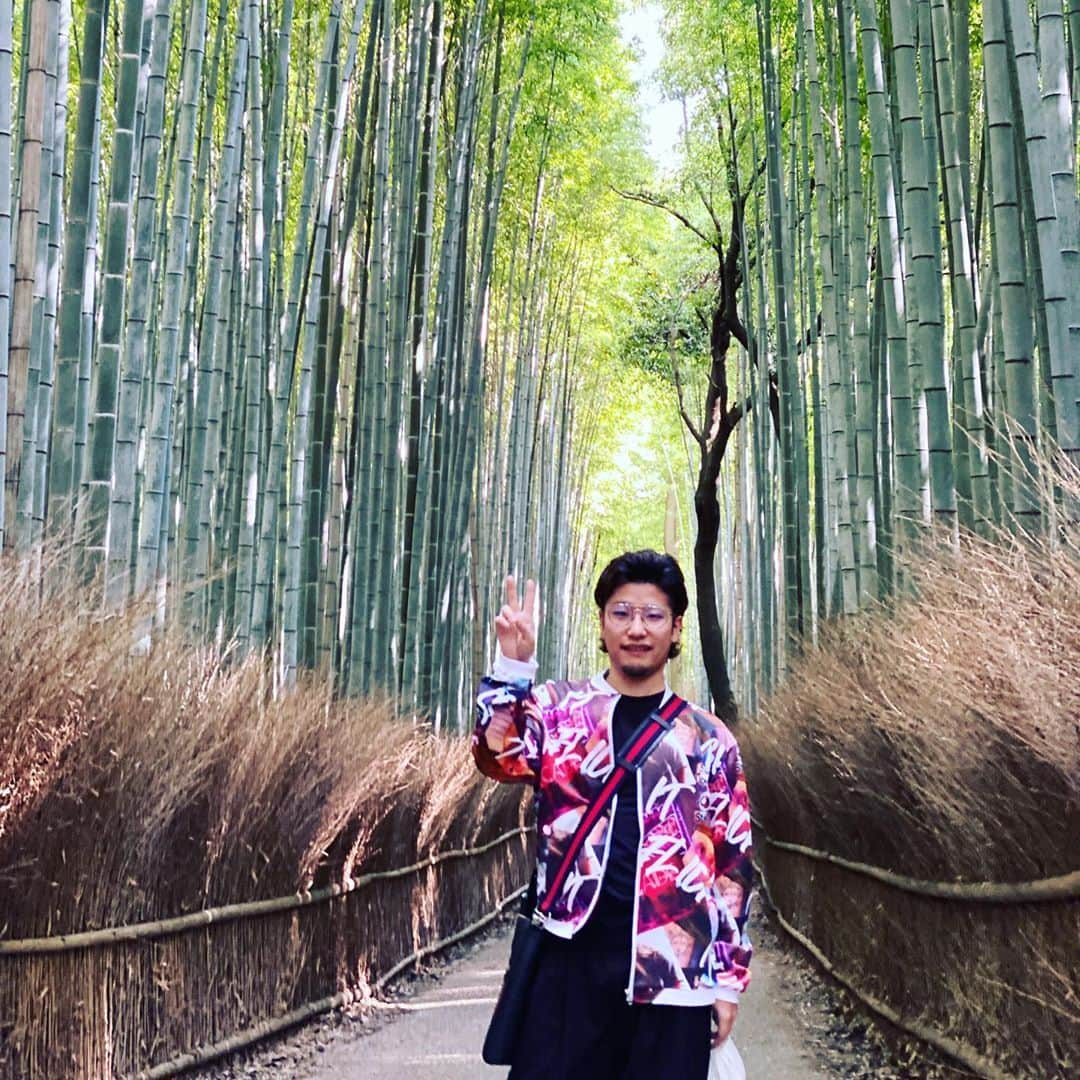 総長ウララのインスタグラム：「ちくりん。うらら、 #嵐山　#京都　#竹林」