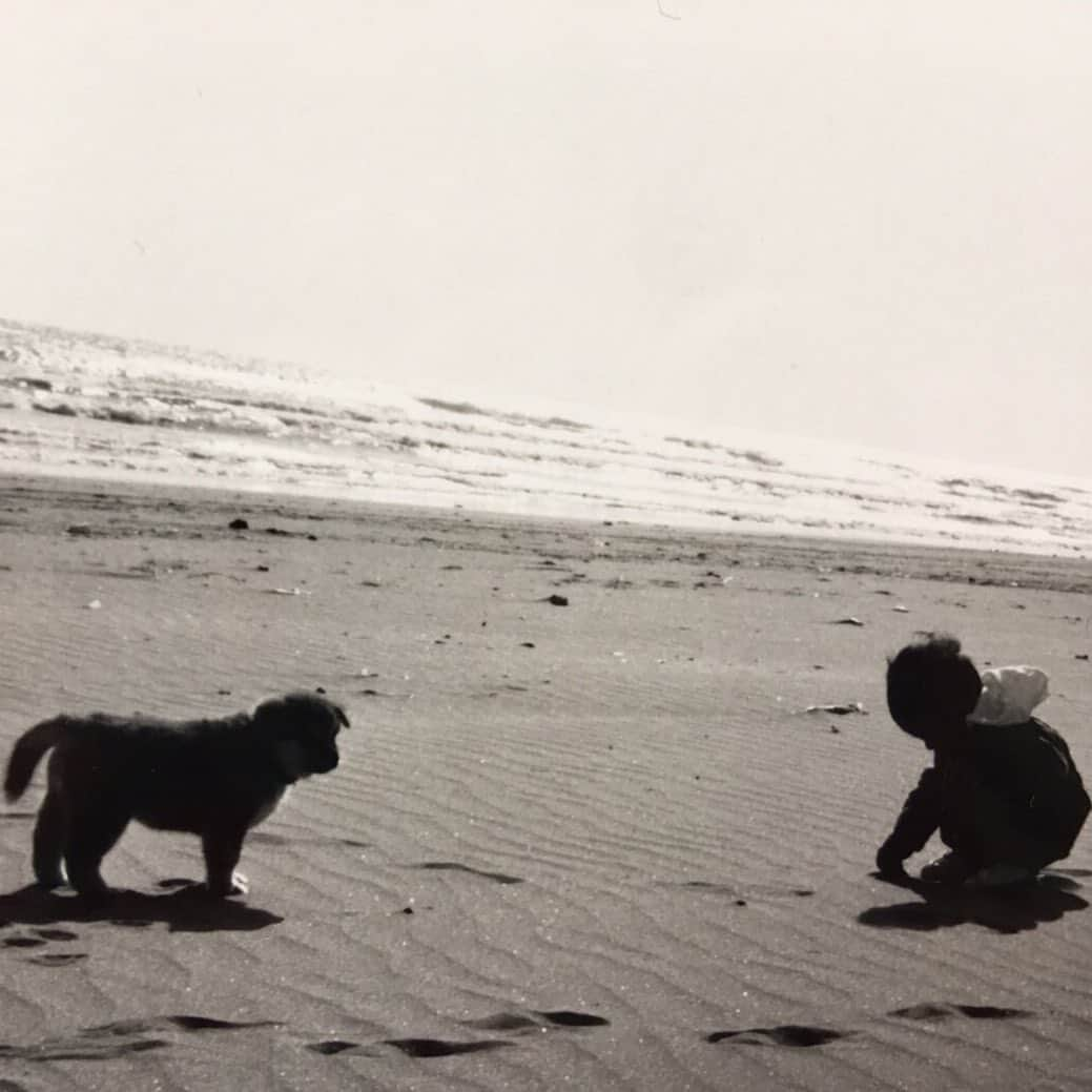 湯川正人さんのインスタグラム写真 - (湯川正人Instagram)「皆がもっと愛に溢れて幸せになりますように」10月14日 22時08分 - masatoyukawa