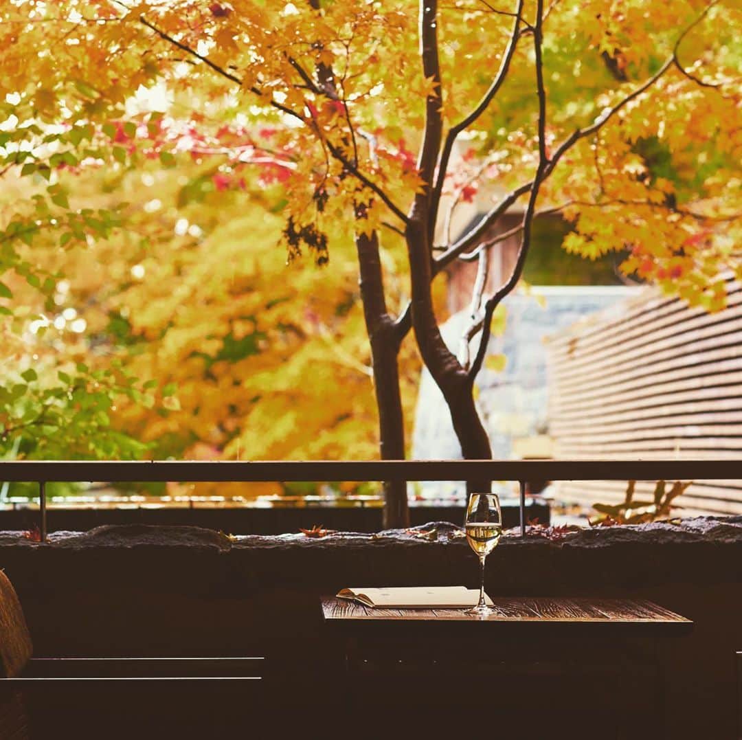 HOSHINOYA｜星のやさんのインスタグラム写真 - (HOSHINOYA｜星のやInstagram)「Viewing autumn leaves with a glass of champagne. #hoshinoyakaruizawa #karuizawa #hoshinoya #hoshinoresorts #星のや軽井沢 #軽井沢 #星のや #星野リゾート　#紅葉 #autumn」10月14日 22時09分 - hoshinoya.official