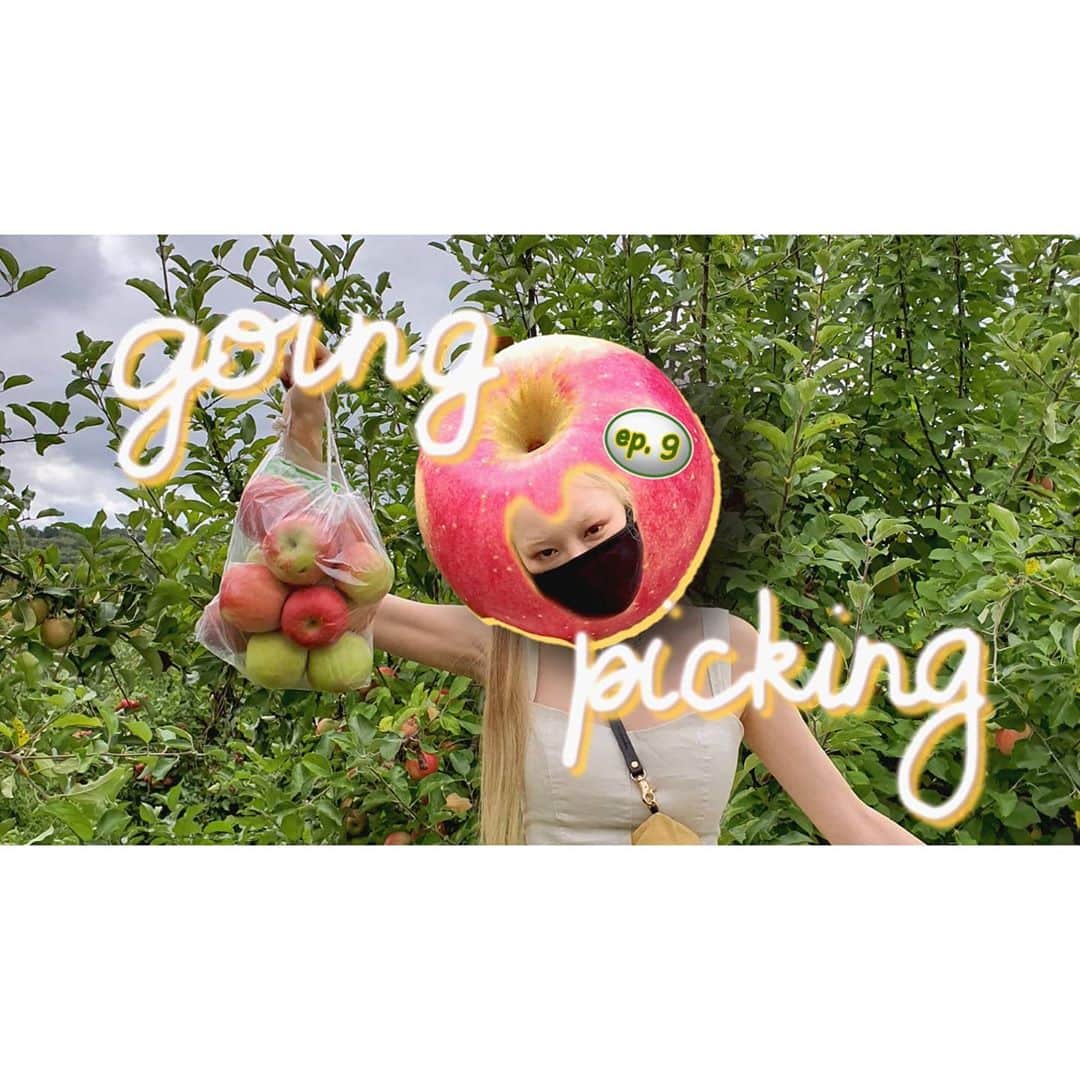 フェルナンダ・リーさんのインスタグラム写真 - (フェルナンダ・リーInstagram)「Went apple picking and made a vlog of that day 🐝🐝🐝  https://youtu.be/fRvJZ5cAdlY Or clicky click through on my profile」10月14日 22時10分 - warukatta