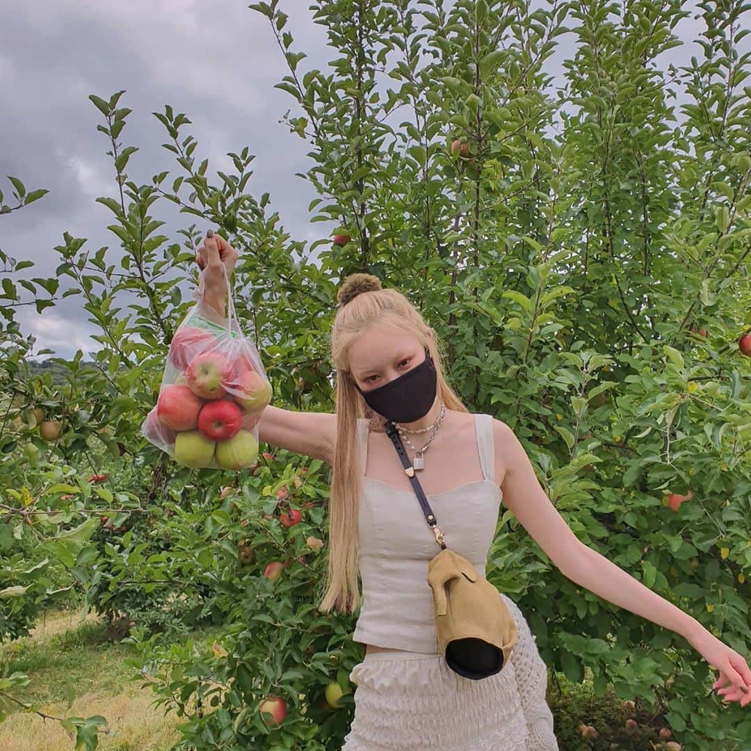 フェルナンダ・リーのインスタグラム：「Went apple picking and made a vlog of that day 🐝🐝🐝  https://youtu.be/fRvJZ5cAdlY Or clicky click through on my profile」
