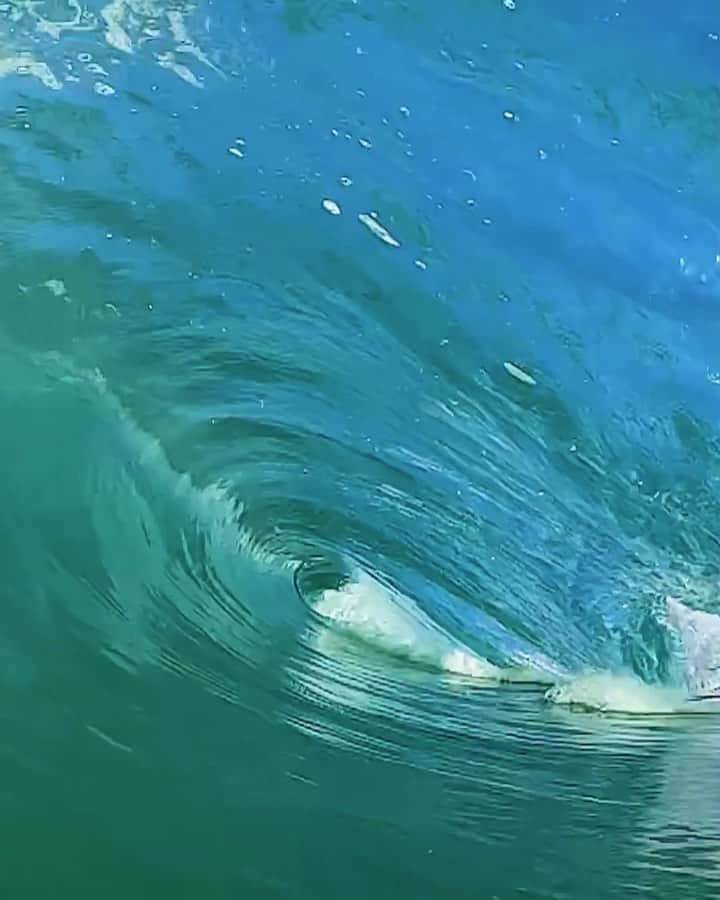 のインスタグラム：「Blowing Bubbles @smkflwr #GoPro」