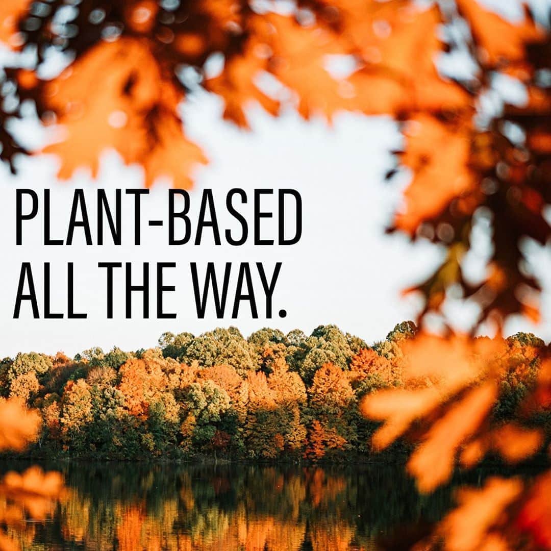 のインスタグラム：「We’ve said it before, but it’s just so darn fun to repeat! Boxed Water caps are made from renewably sourced nordic 🌲 tree pulp. Making Boxed Water 92% plant-based! 📷: @maxgauntner via @unsplash」