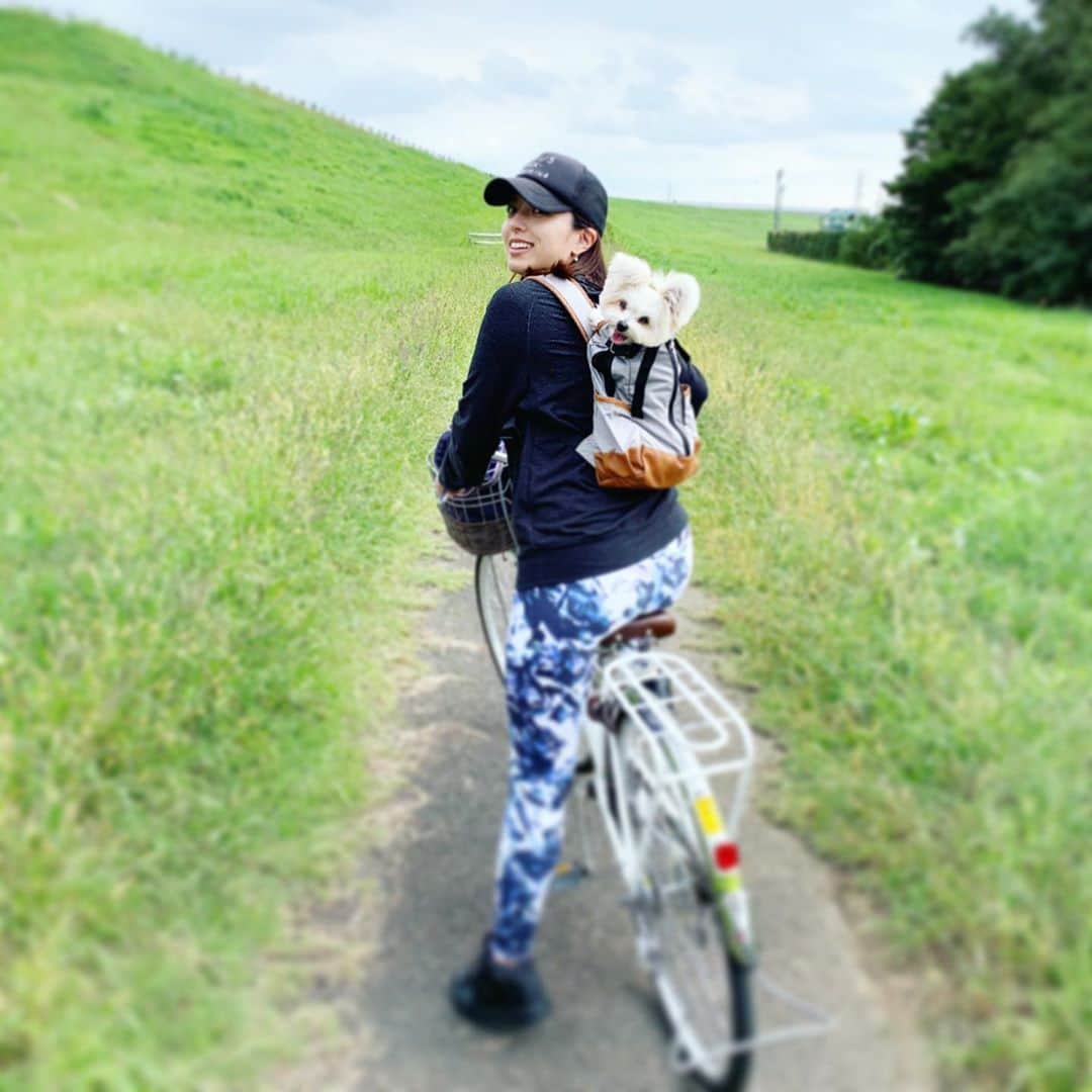 チャン・リーメイのインスタグラム