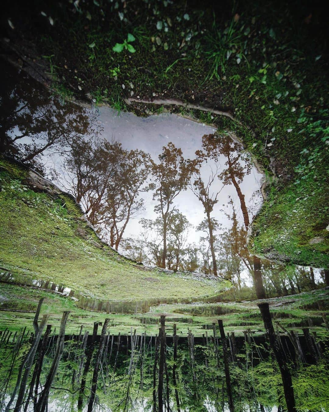 ima_ju / Jun Iのインスタグラム：「: : Crop the Ground : : ::」