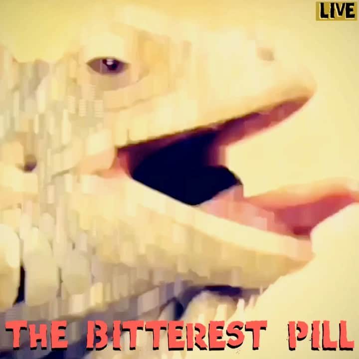 イマイアキノブのインスタグラム：「🥀10.27(火) @/fr 下北沢CLUB Que 観覧&生配信  『THE BITTEREST PILL』  出演  イマイアキノブトリオ (イマイアキノブ 山本久土 サトウミノル）  TOKIE＆#STDRUMS  O.A NAkidZ　  前売 ¥3500＋drk代¥600  当日 ¥4000＋drk代¥600  配信¥2500 (手数料込み¥2625）　  Open 18:30 Start  19:00  観覧チケット Livepocket  https://t.livepocket.jp/e/que20201027  配信チケット bitfan  https://clubque.bitfan.id/events/293  #下北沢clubque  #tokie #stdrums  #nakidz  #山本久土 #サトウミノル #イマイアキノブ #imaiakinobu  #livestreaming  #livemusic」