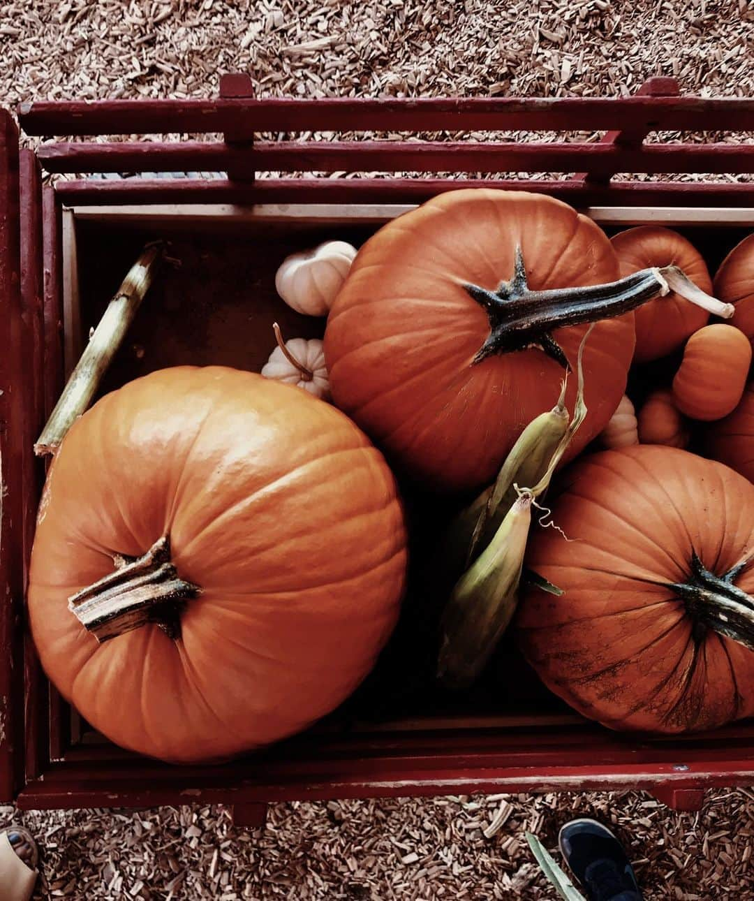 ハル・ベリーさんのインスタグラム写真 - (ハル・ベリーInstagram)「Give em’ pumpkin to talk about 🎃」10月15日 1時21分 - halleberry