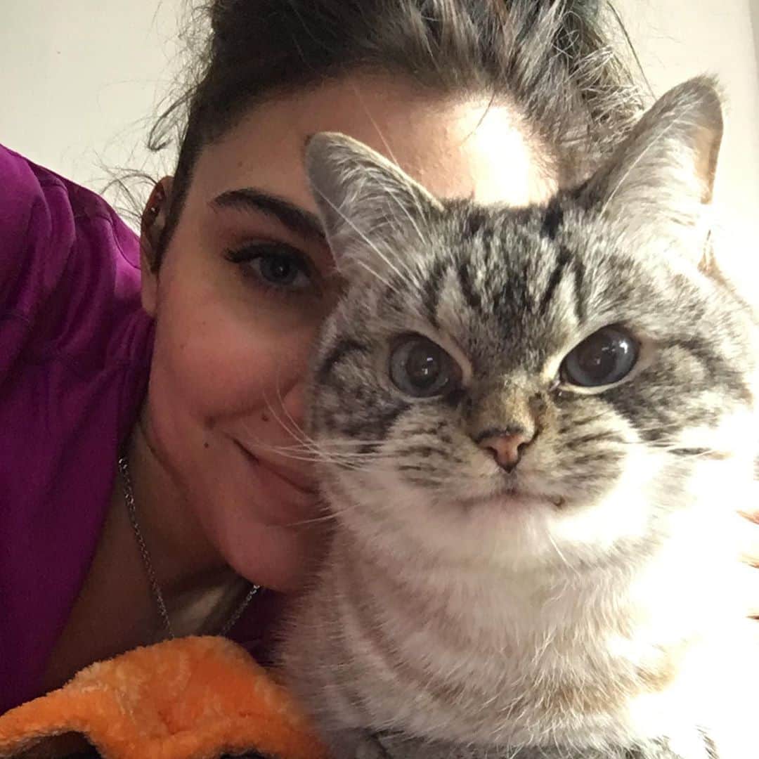 Lokiさんのインスタグラム写真 - (LokiInstagram)「Was always happy to pose with @kaety_kat ❤️🌈 #cats #cat #catsofinstagram #catsoninstagram #kitty #cute #furbaby #catstagram #catlovers」10月15日 3時00分 - loki_kitteh