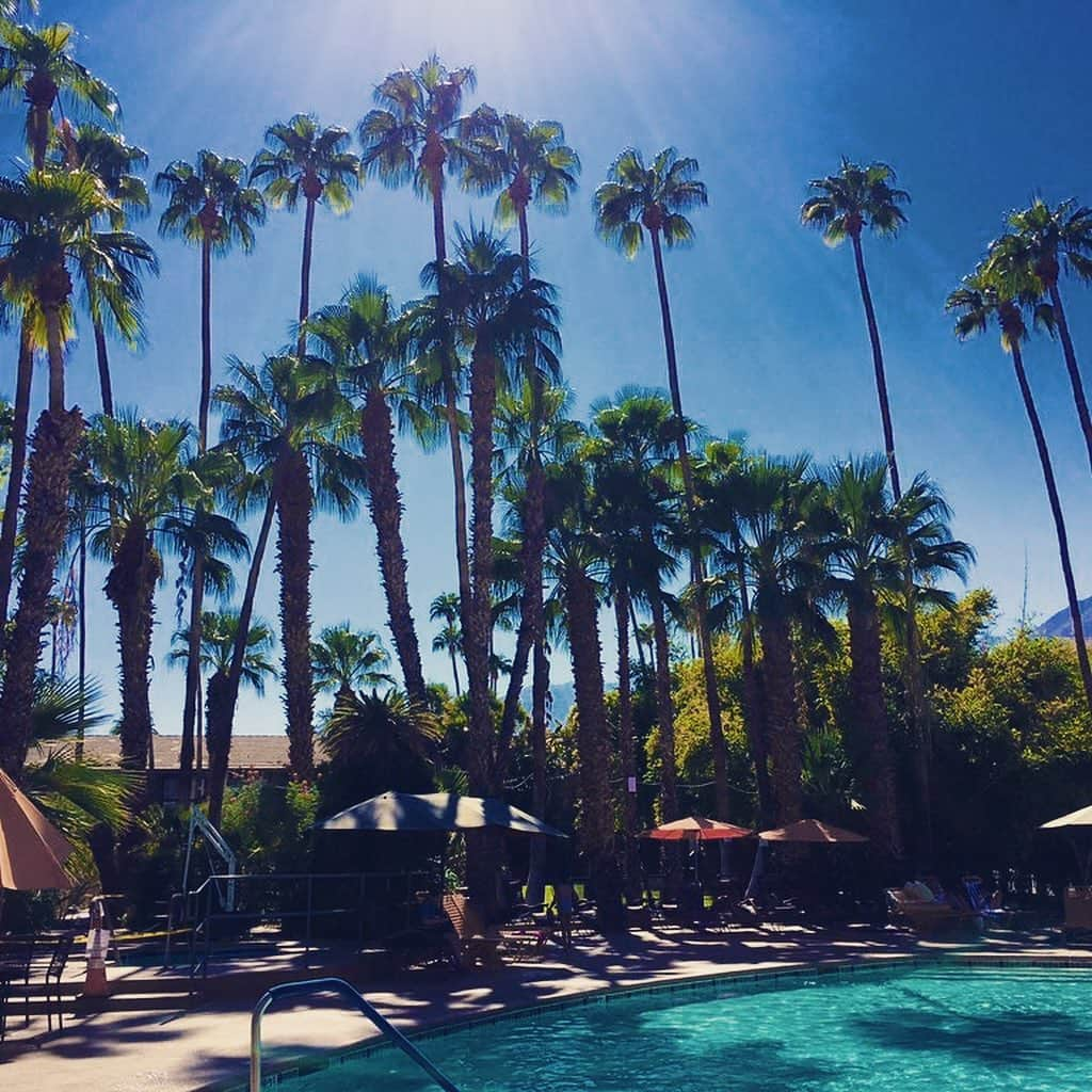 空まどかさんのインスタグラム写真 - (空まどかInstagram)「Weekend trip to Palm Springs🌴 LAから車で2時間"砂漠のオアシス"へ行ってきました♡初めてだったんだけどめっちゃ楽しかった♡ ホテルは今ほとんどがディスカウントしてて、行くにはラッキーなタイミングかも！プールはopenジャグジーとジムはclose、レストランは中も座れるようになっててビックリ😳同じカリフォルニアでも違うんだね〜。ちょーどNBAのファイナルがあったのでレストランに入って応援しながらご飯食べました。 さすがセレブの皆さんが避寒地に訪れるというだけあって、10月でも昼間は37℃！てことでほぼプールサイドでのんびりしてました♡ プールが可愛いくてお手頃価格だったカリエンテホテルにしたら、エルビスプレスリーも泊まったことがあるらしいw  のんびり楽しい週末でした♡」10月15日 3時03分 - sky_madoka