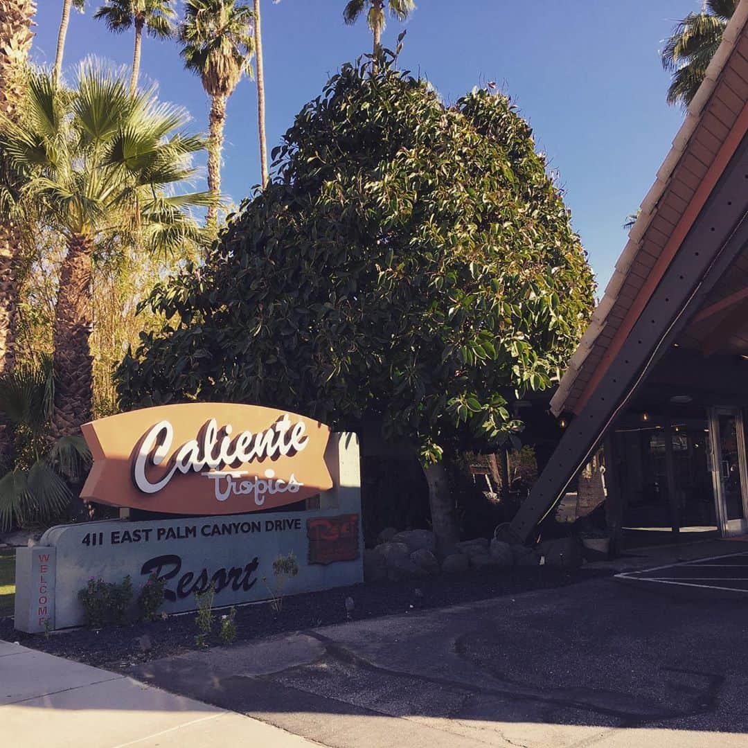 空まどかさんのインスタグラム写真 - (空まどかInstagram)「Weekend trip to Palm Springs🌴 LAから車で2時間"砂漠のオアシス"へ行ってきました♡初めてだったんだけどめっちゃ楽しかった♡ ホテルは今ほとんどがディスカウントしてて、行くにはラッキーなタイミングかも！プールはopenジャグジーとジムはclose、レストランは中も座れるようになっててビックリ😳同じカリフォルニアでも違うんだね〜。ちょーどNBAのファイナルがあったのでレストランに入って応援しながらご飯食べました。 さすがセレブの皆さんが避寒地に訪れるというだけあって、10月でも昼間は37℃！てことでほぼプールサイドでのんびりしてました♡ プールが可愛いくてお手頃価格だったカリエンテホテルにしたら、エルビスプレスリーも泊まったことがあるらしいw  のんびり楽しい週末でした♡」10月15日 3時03分 - sky_madoka