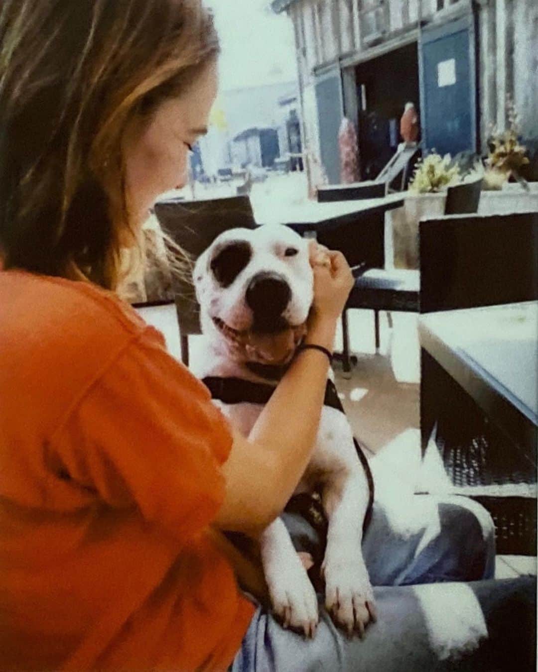 ゾーイ・ドゥイッチのインスタグラム：「🐶? 🐄? 🐷?」