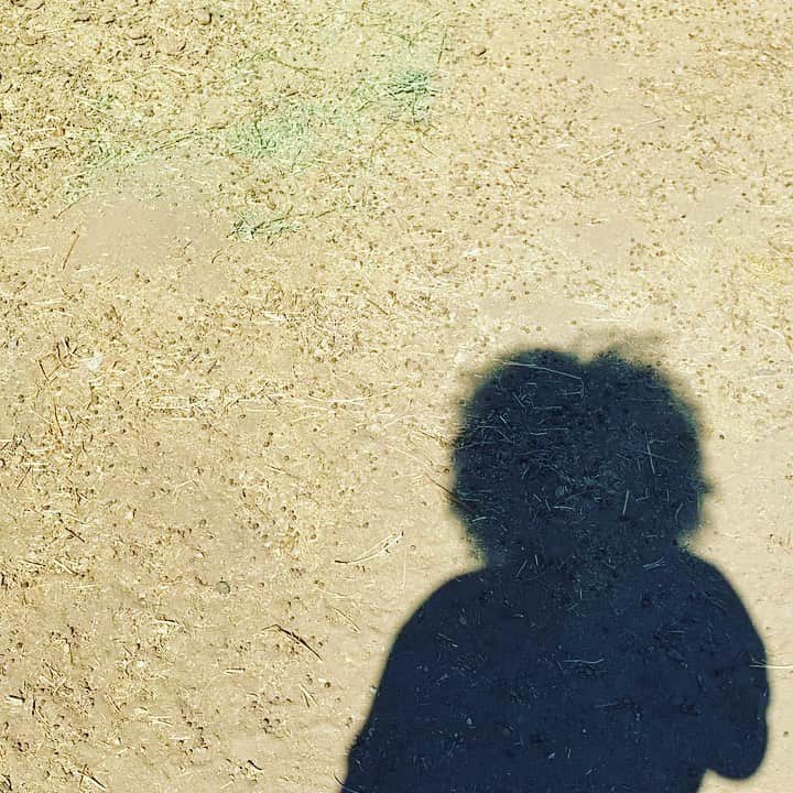 ケリスのインスタグラム：「Afro and farm」