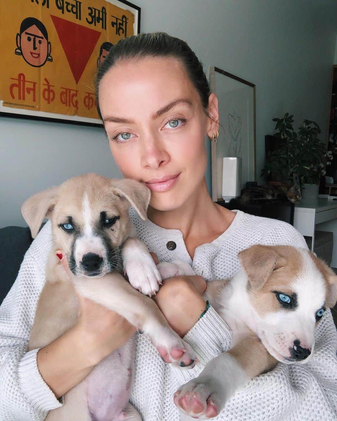 レイチェル・スカーステンのインスタグラム：「Straight up puppy love fostering these little angels. Thanks to @raincoastdogrescue for the incredible work you’re doing. If you’re in BC and want to adopt, please see their Instagram for more information!」