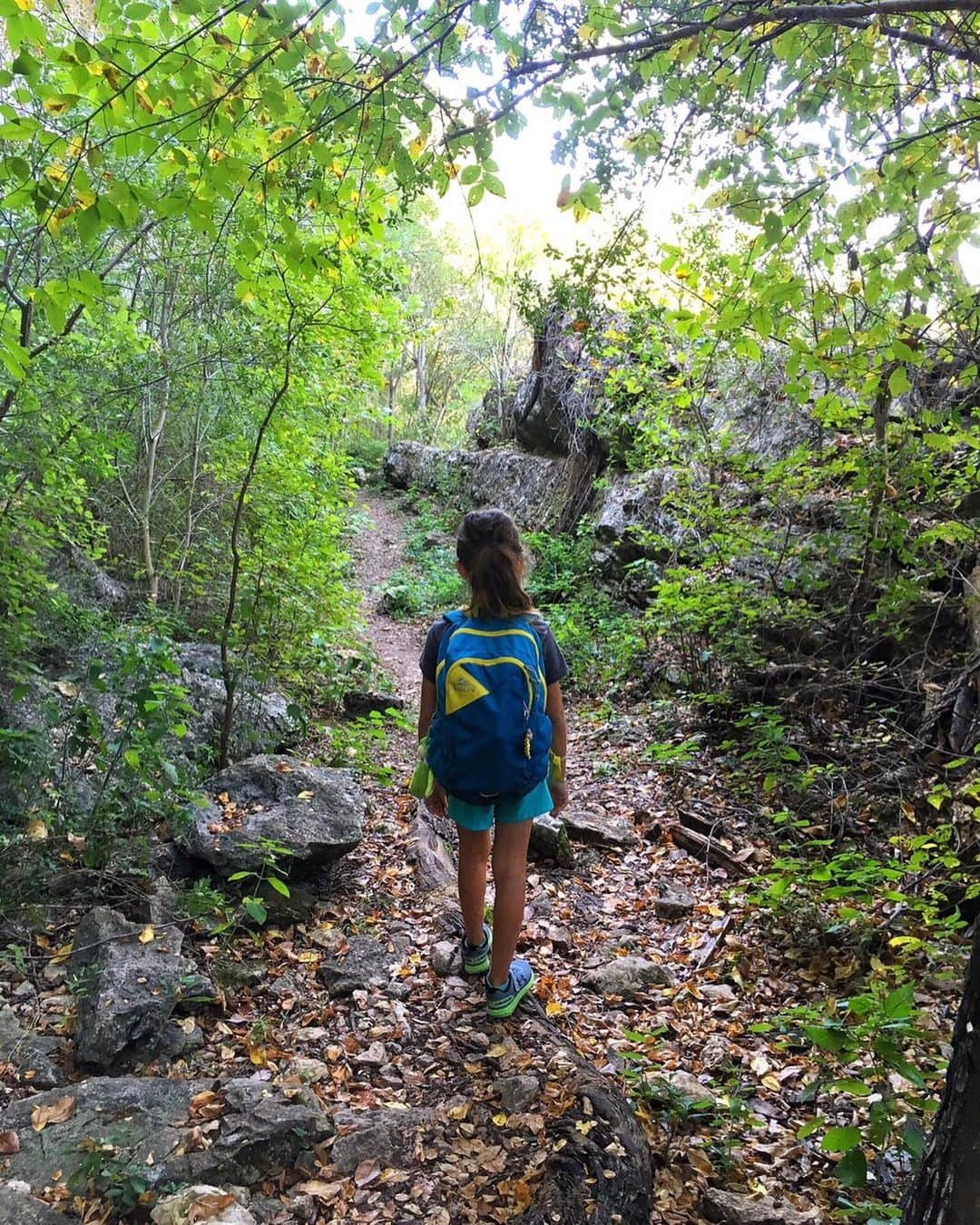 ケルティさんのインスタグラム写真 - (ケルティInstagram)「Who runs the world? Girls. 🙋‍♀️ And our Kelty Kids are doing just that. These young adventurers inspire us. Mountain biking, via ferratas, BIG GIANT BUGS (eek!!), lead climbs, and all the fall hikes 🍁 and apple picking 🍎. Keep crushin’.   #KeltyBuilt #BuiltforPlay #KeltyKids」10月15日 4時01分 - keltyusa