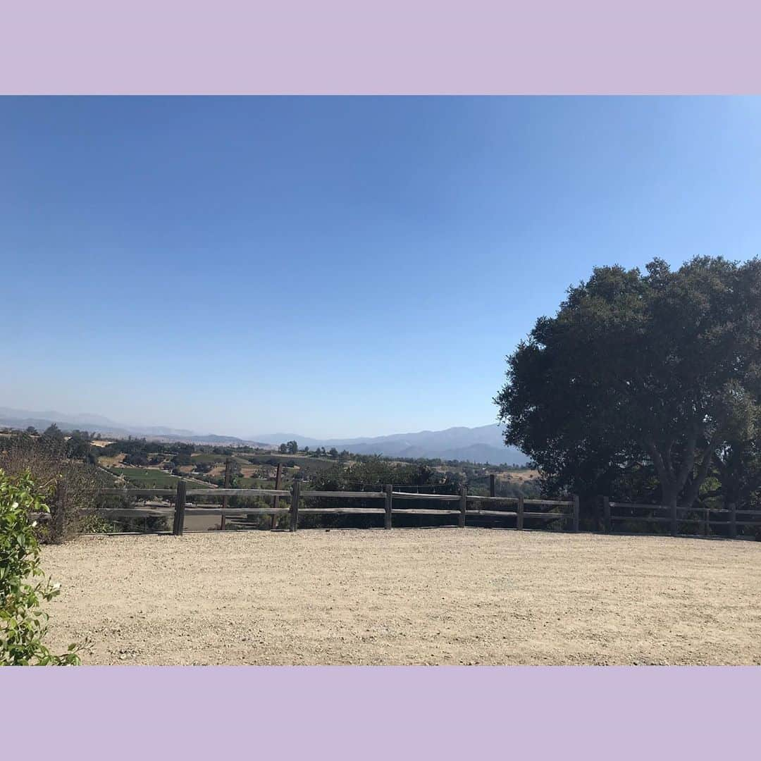 ブリアンナ・ブラウンさんのインスタグラム写真 - (ブリアンナ・ブラウンInstagram)「Enjoying California wine country. Beyond grateful my amazing hubby spoiled me with a belated bday trip away from the nonsense.  💜💜💜」10月15日 4時02分 - briannabrownkeen