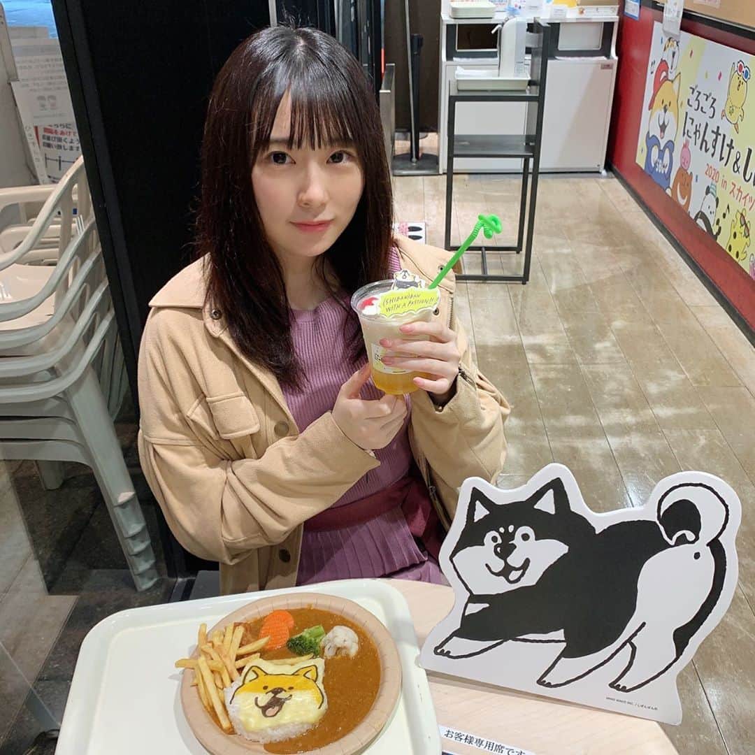 環奈（長沢菜々香の飼い犬）のインスタグラム：「しばんばんフェス良かったなぁ。 柴犬最高🐕 カレーが可愛い🍛」