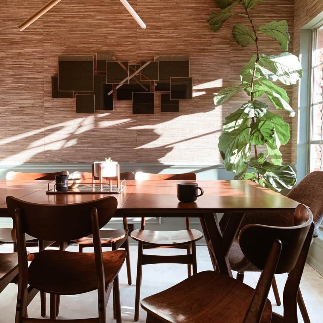 west elmさんのインスタグラム写真 - (west elmInstagram)「It's ✨golden hour✨ at @paigegeffken's place, featuring our Classic Cafe Dining Chairs, Mid-Century Dining Table, Overlapping Squares Mirror and a gorgeous #fiddleleaffig ✨🌿 Share your style and tag @westelm! #mywestelm #WestElmGoldenHour」10月15日 5時00分 - westelm