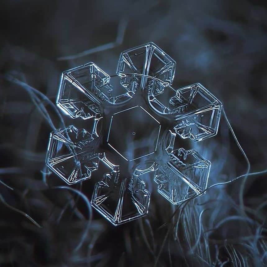 Canon Photographyさんのインスタグラム写真 - (Canon PhotographyInstagram)「Incredible marco-photography ❄️  Photography // @alexey_kljatov Curated by @steffeneisenacher  #macrophotography #macro_captures_ #snowflakephotography #snowflakes #snow」10月15日 6時29分 - cpcollectives