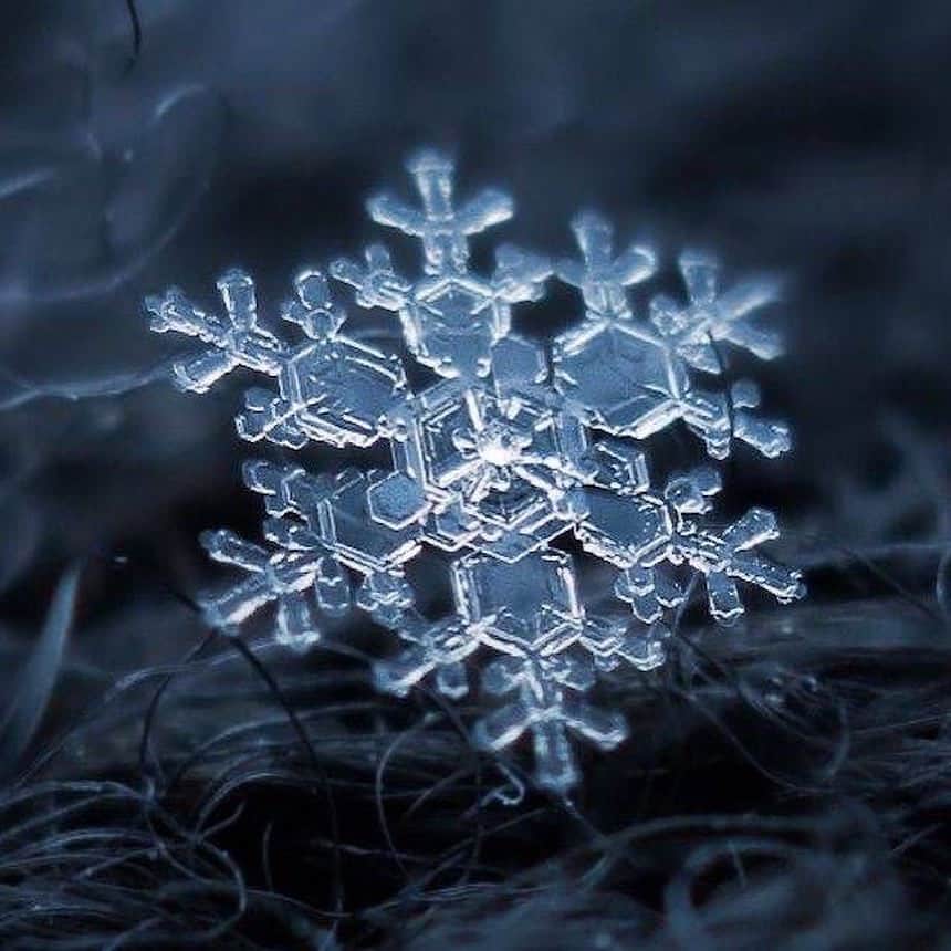 Canon Photographyさんのインスタグラム写真 - (Canon PhotographyInstagram)「Incredible marco-photography ❄️  Photography // @alexey_kljatov Curated by @steffeneisenacher  #macrophotography #macro_captures_ #snowflakephotography #snowflakes #snow」10月15日 6時29分 - cpcollectives