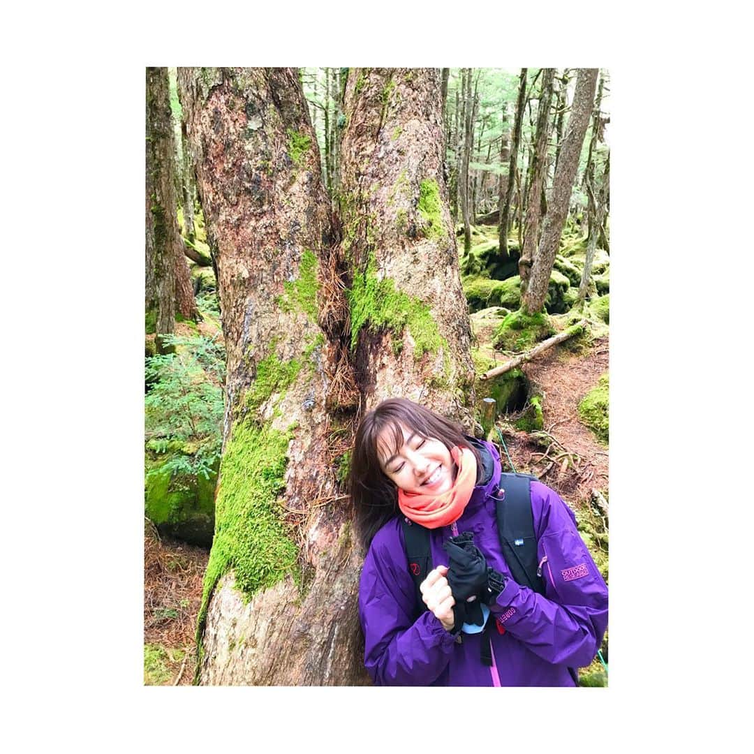 橋本真実さんのインスタグラム写真 - (橋本真実Instagram)「森の中の小さな森🌳 可愛らしい苔の世界 柔らかくてふわふわ〜 山荘の軒下にヒカリゴケも発見 暗闇のなかで光る苔 #苔#ふわふわ#苔森#コセイタカスギゴケ#ヒカリゴケ」10月15日 16時57分 - mami_hashimoto130