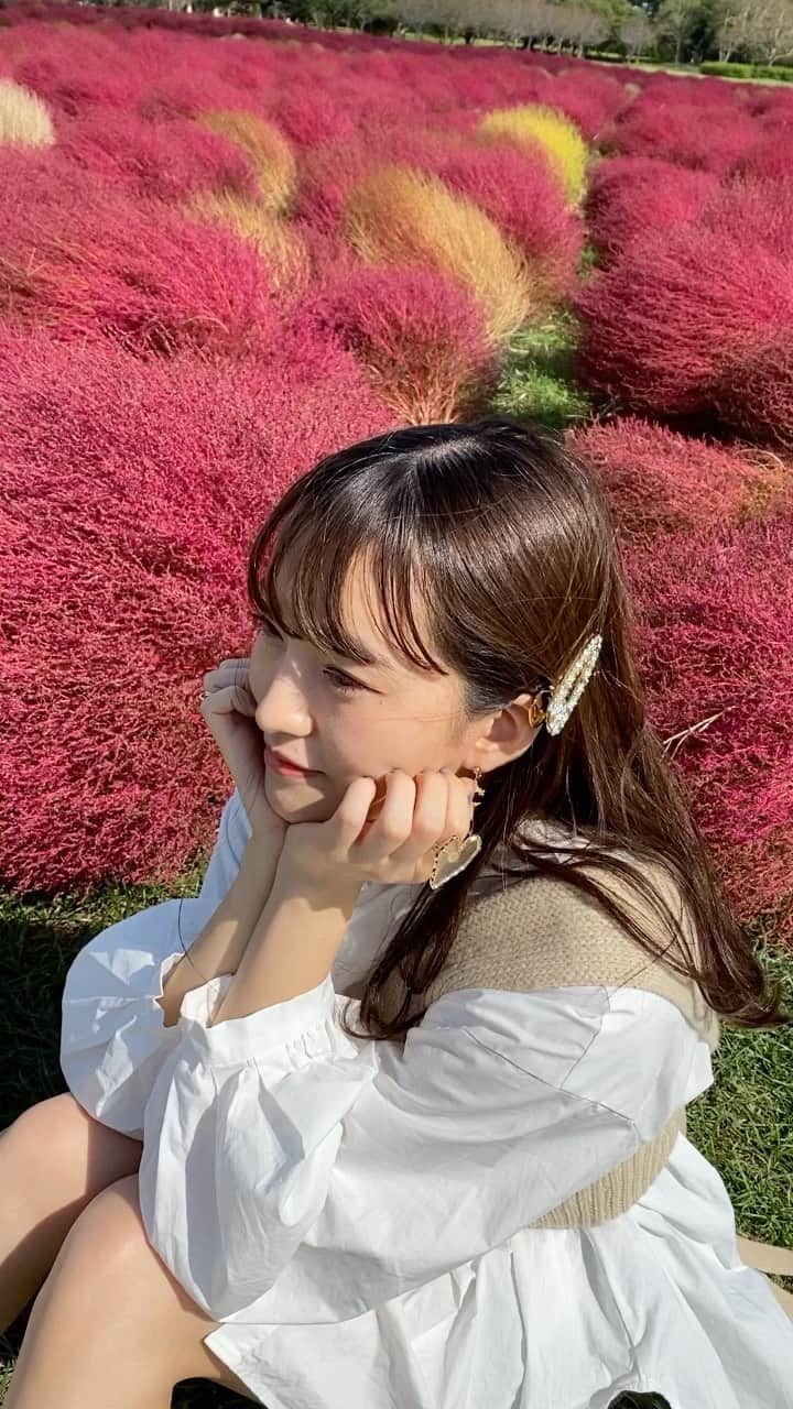 のインスタグラム：「電話したらすぐに出てね🥺？  #彼女感  #海の中道海浜公園  #福岡  #コキア」