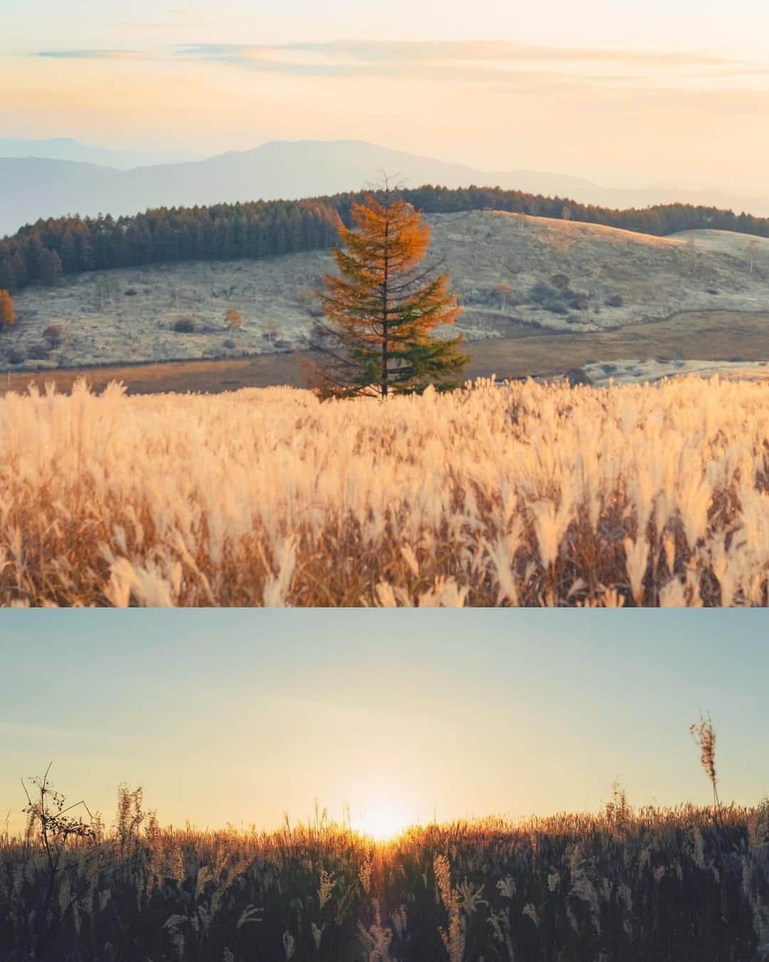 国分真央さんのインスタグラム写真 - (国分真央Instagram)「.﻿ 秋の夕暮れの色は﻿ 心を優しくさせるね﻿ ﻿ ﻿」10月15日 17時27分 - mao_kokubu